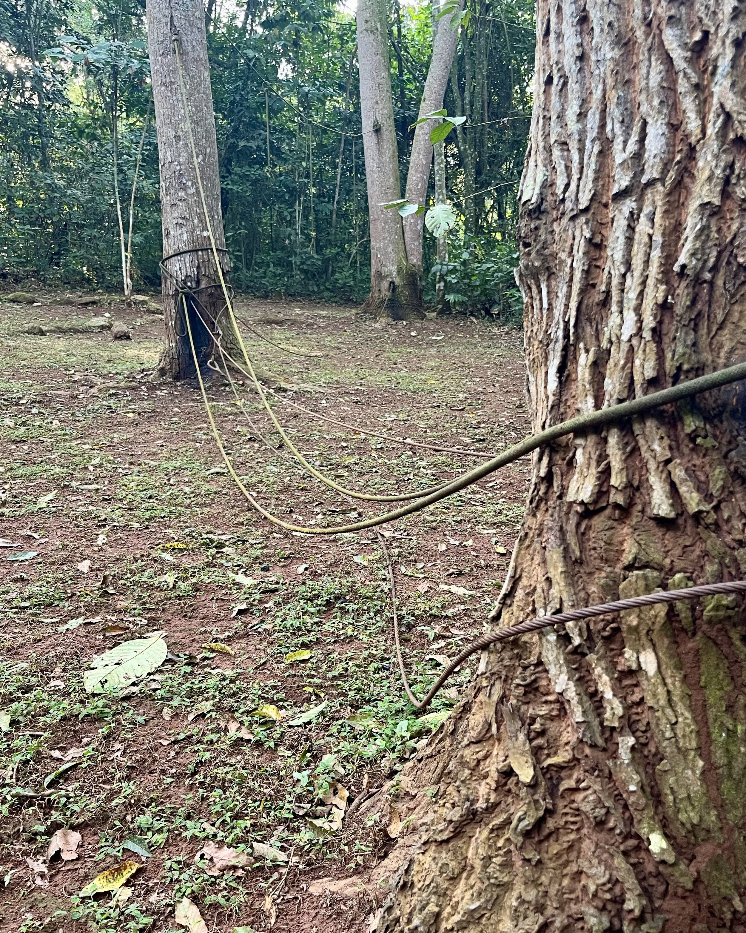 Collapsed ropes but hope for future memories here