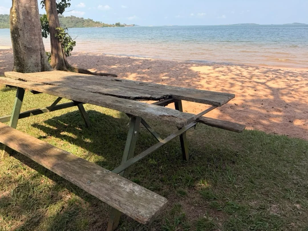 Picnic tables eaten by termites and weather 
