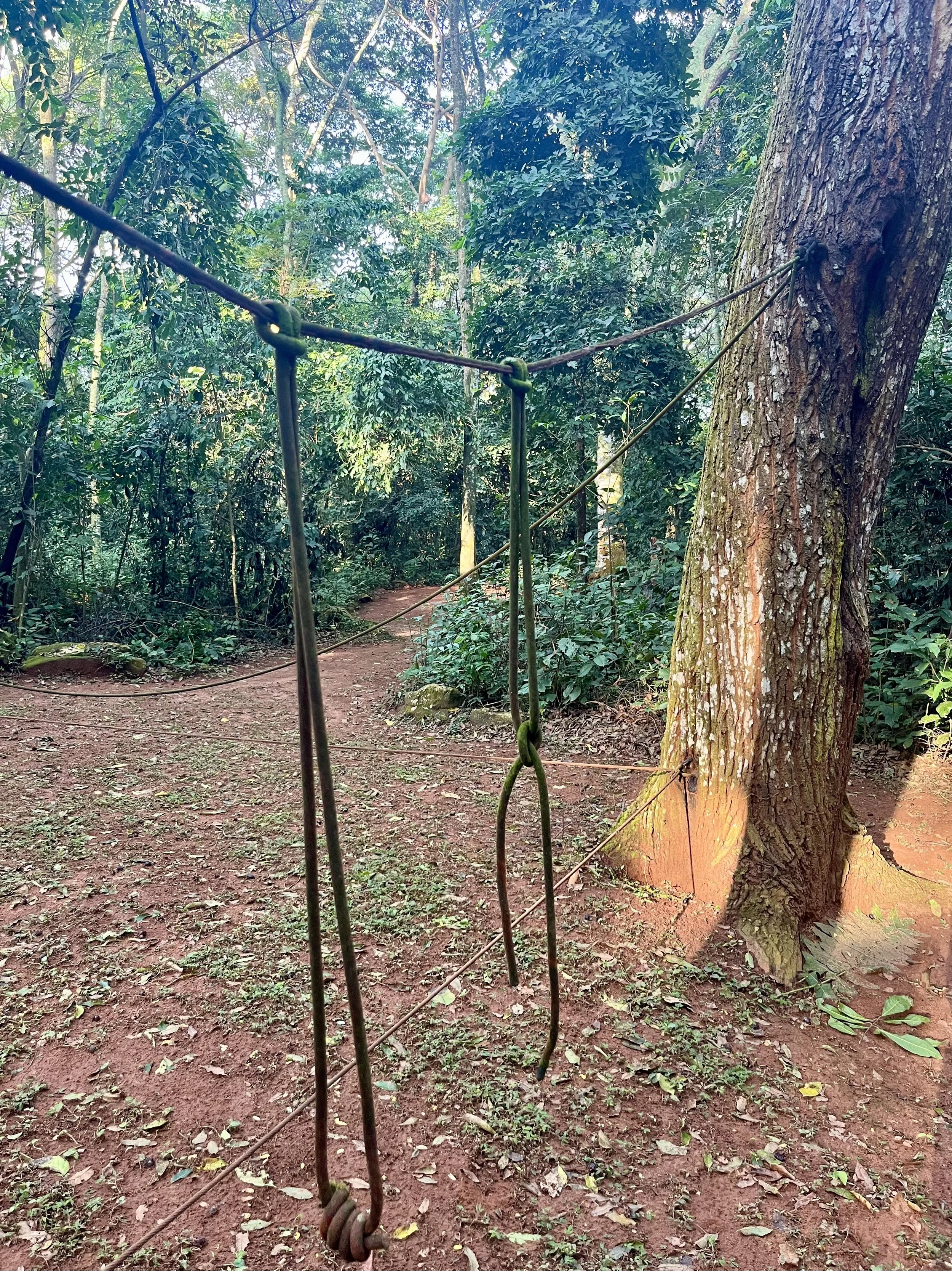 Well used challenge course needs a bit of love. 