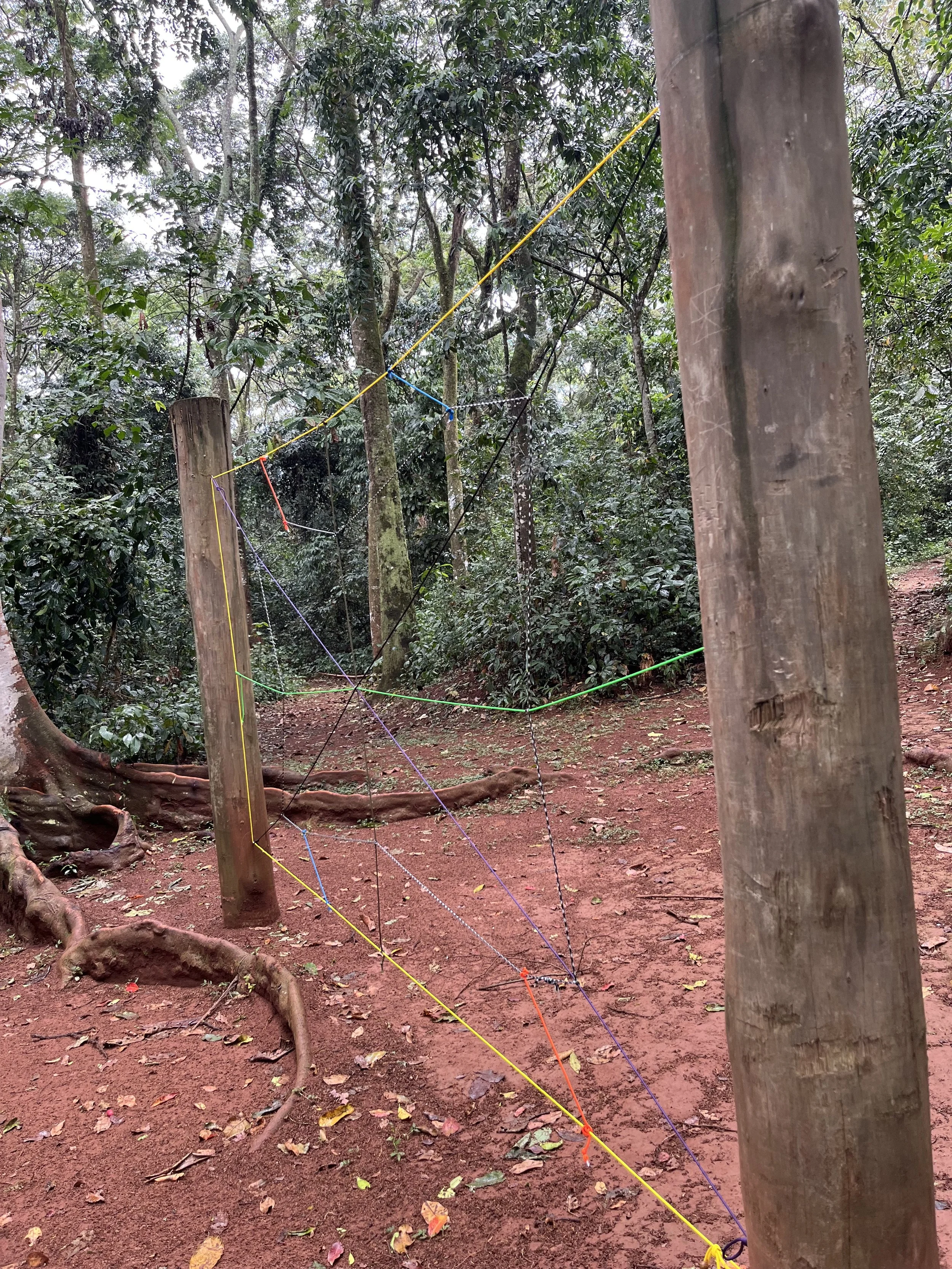 New Spider Web Activity