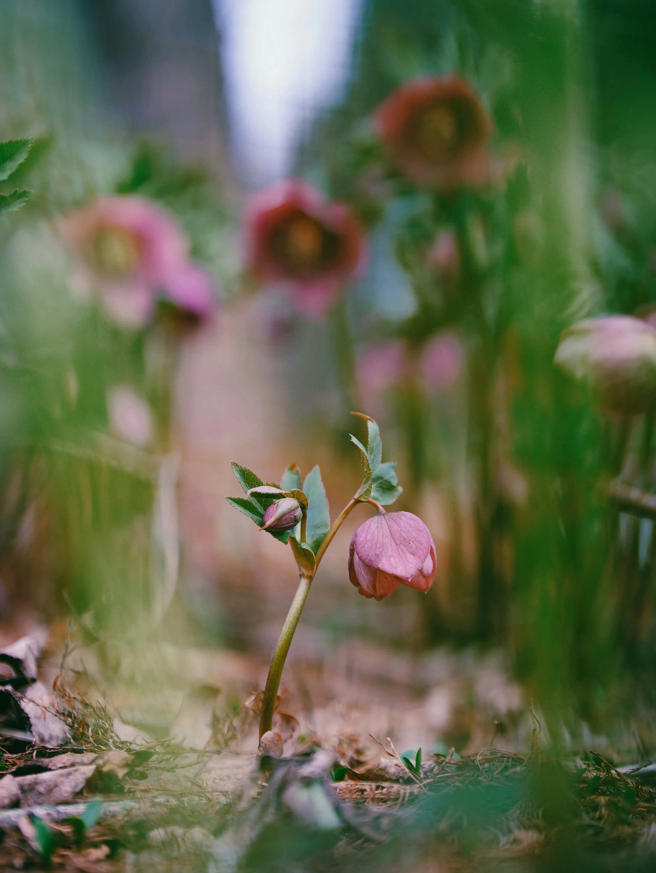 Cum să îți gestionezi anxietatea în viața de zi cu zi