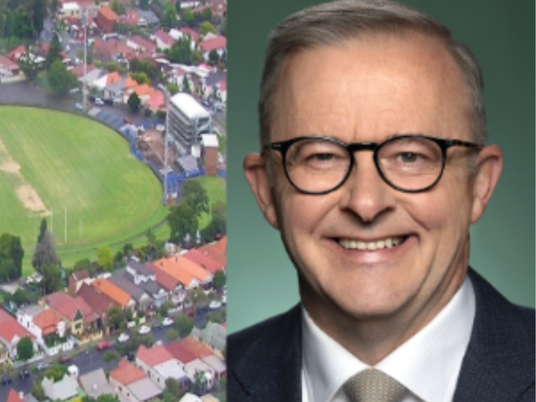 Netflix considers commissioning ‘Young Albo’ series set in Marrickville