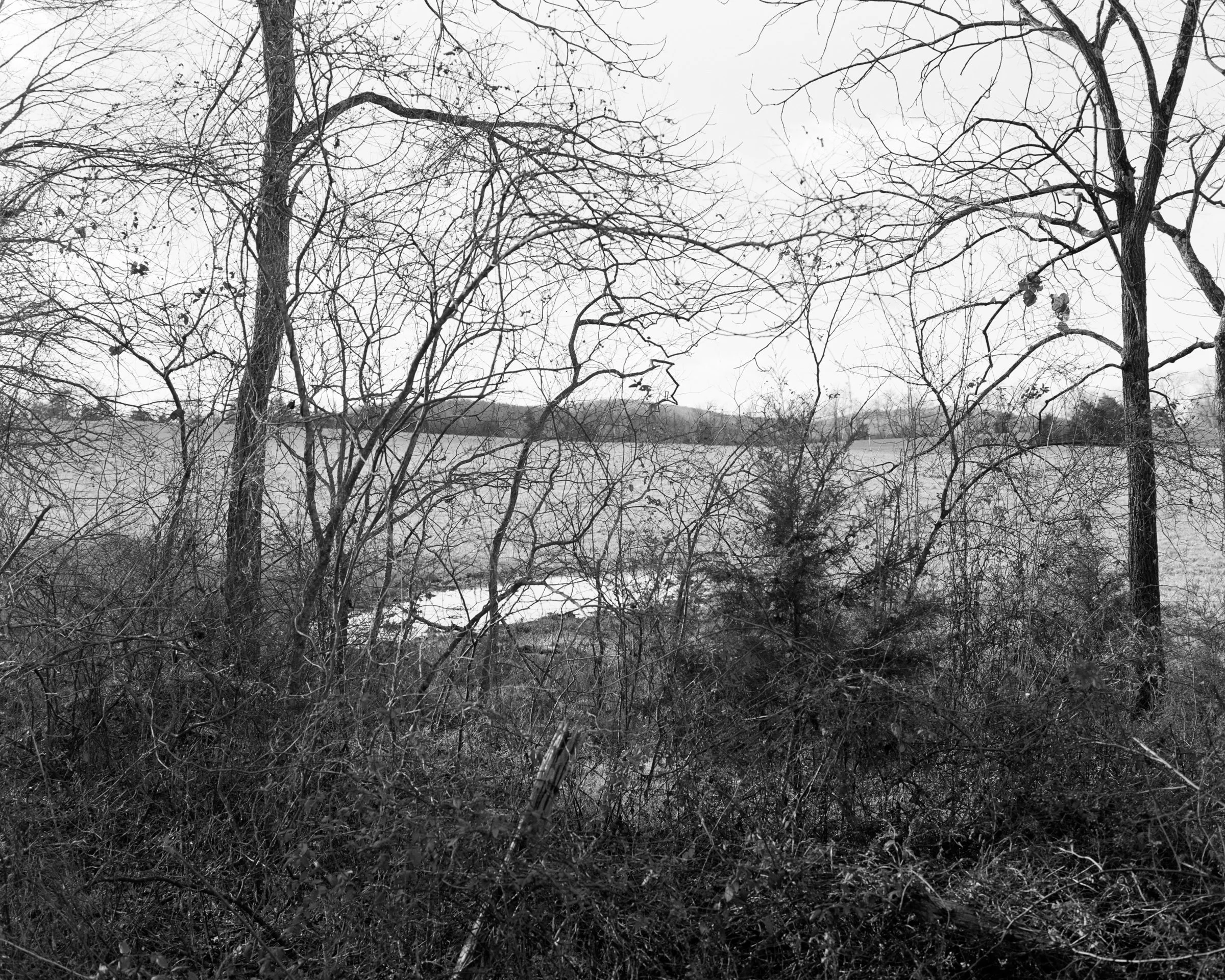 Work in progress | (2024 - present)