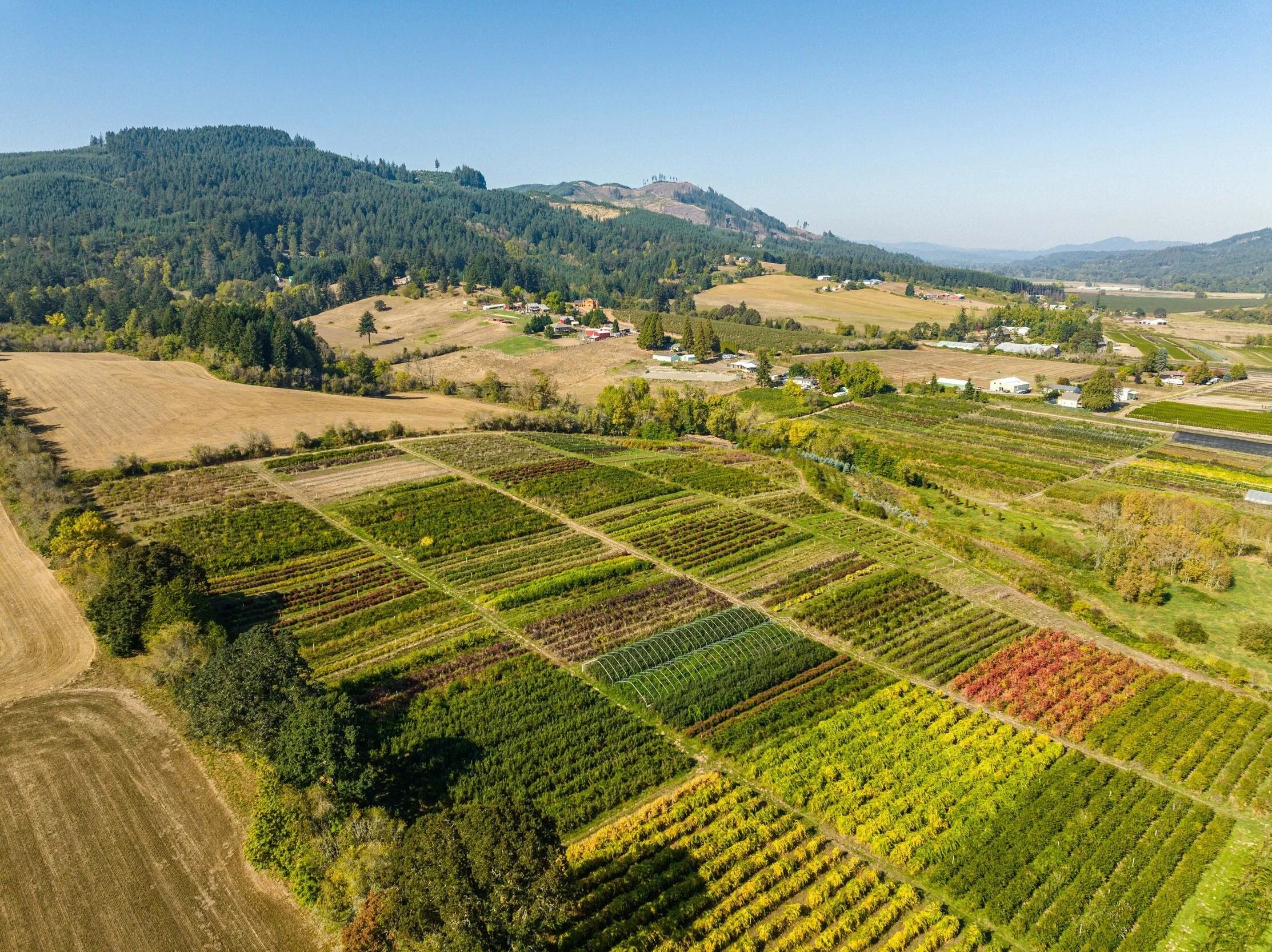 Aerial view of a rural landscape with patchwork fields, greenhouses, small houses, trees, and hills in the background under a clear blue sky.