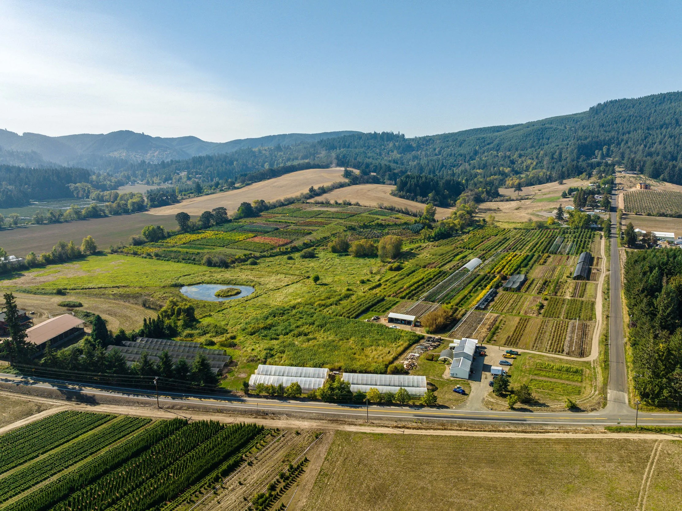 Aerial view of farmland with greenhouses, fields, trees, a pond, and mountains in the background on a clear day.