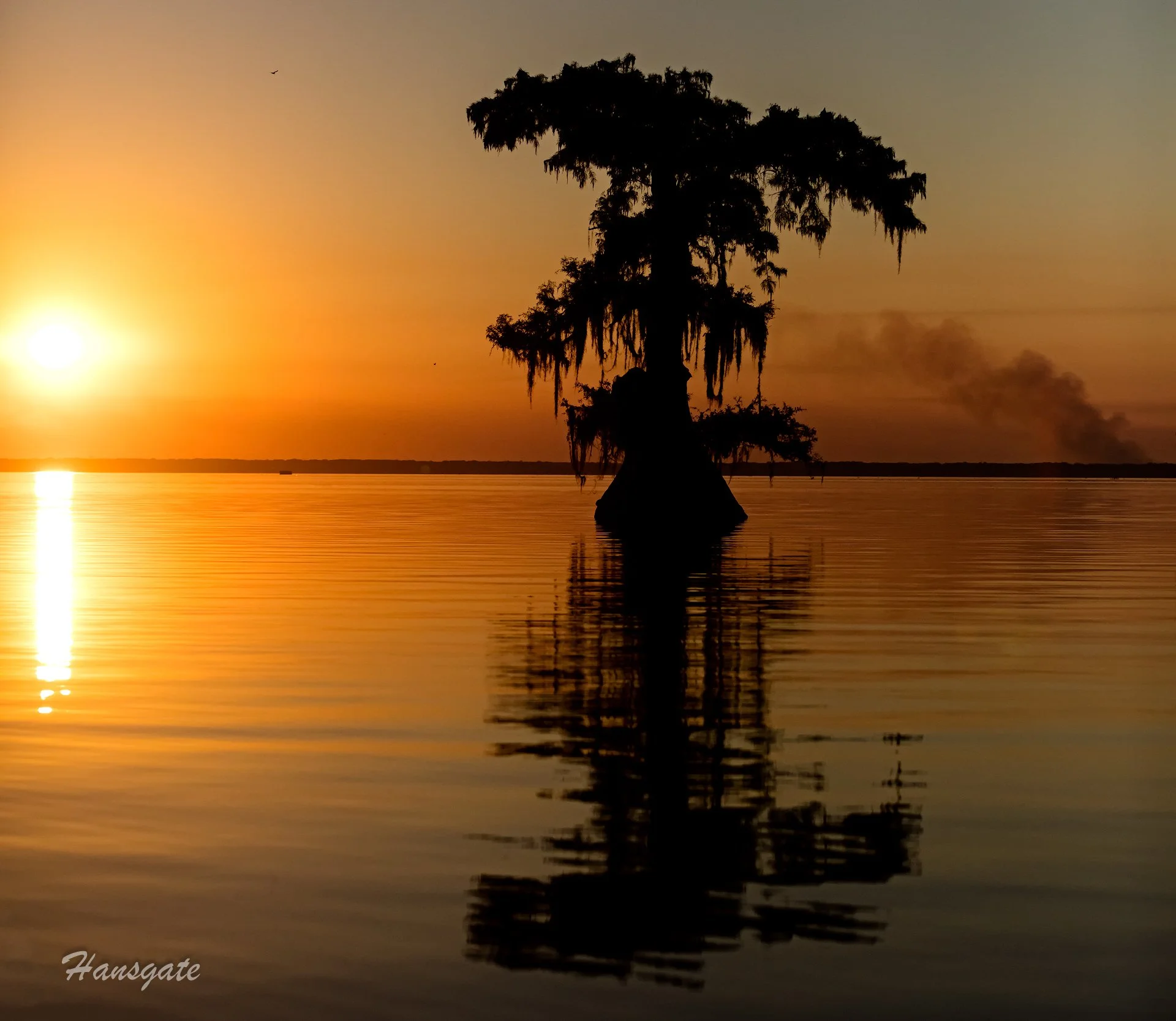 _MG_0492-Edit WEB.jpg