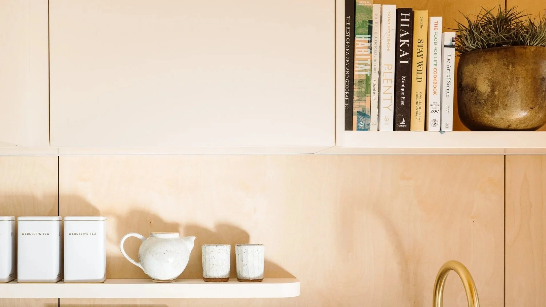 Shelf with books and decorative pottery, with a potted plant to the right.