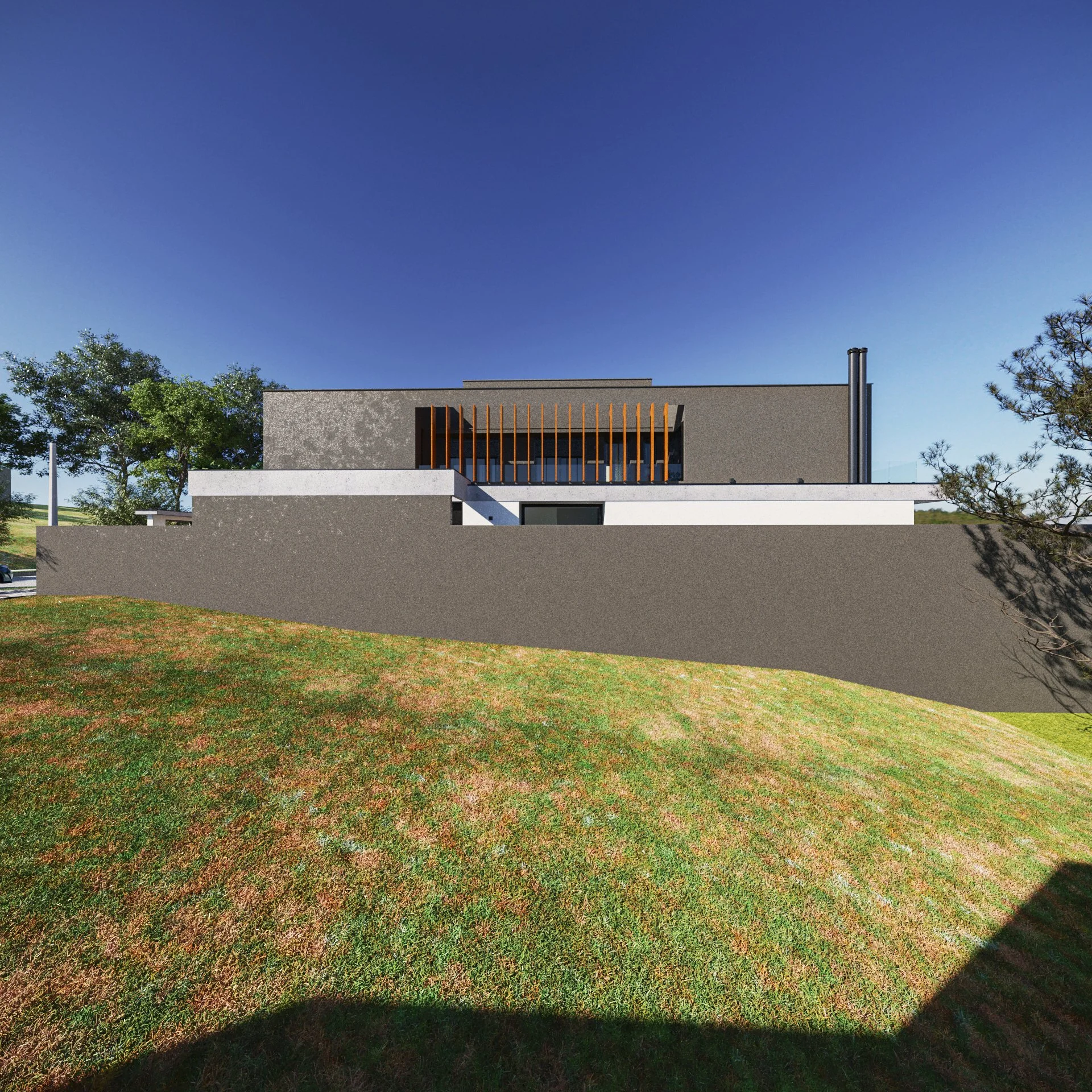 CASAMG_VFinal (9).jpg