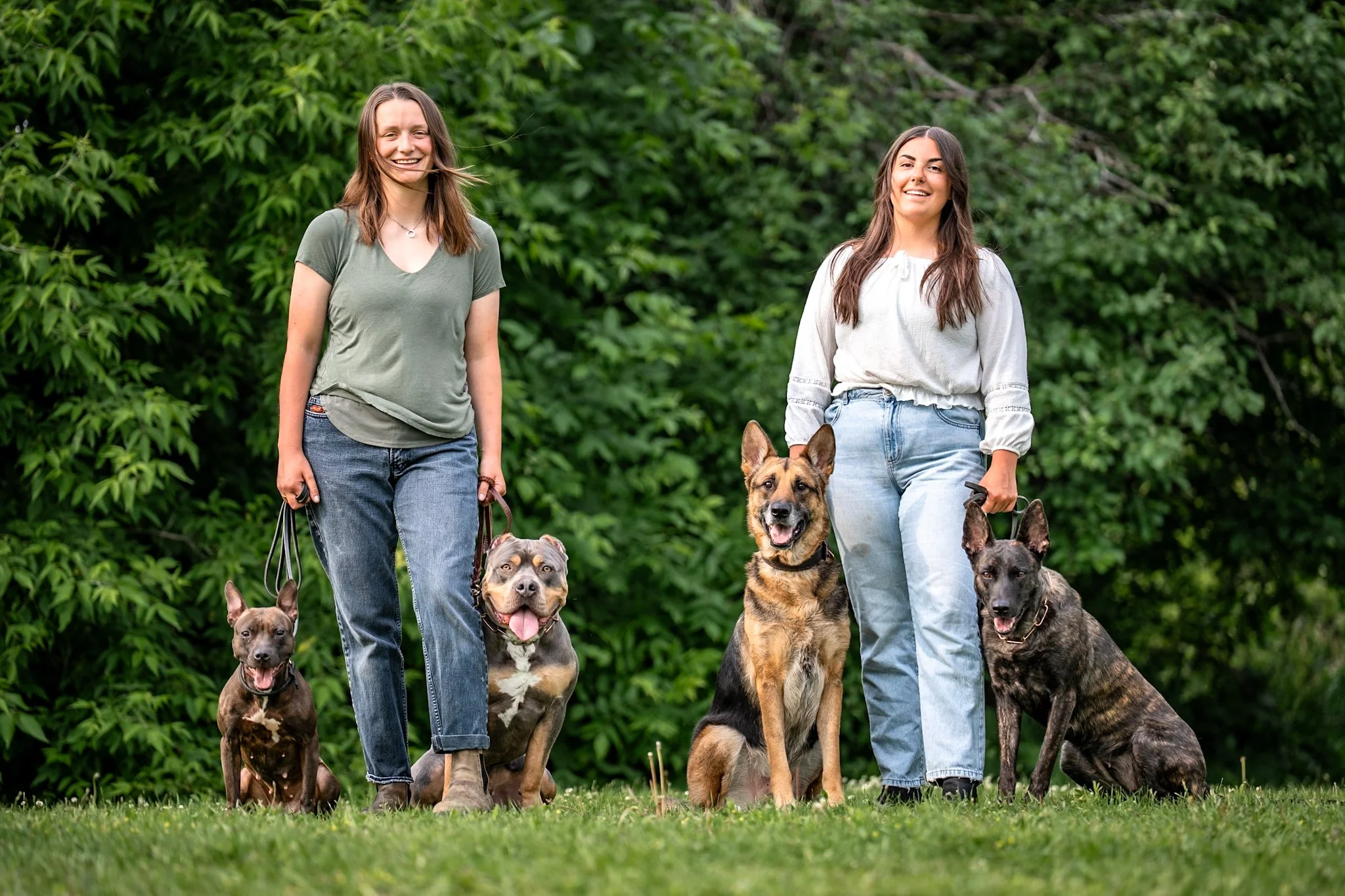 Two women walking four dogs on leashes in a grassy park with green trees in the background.