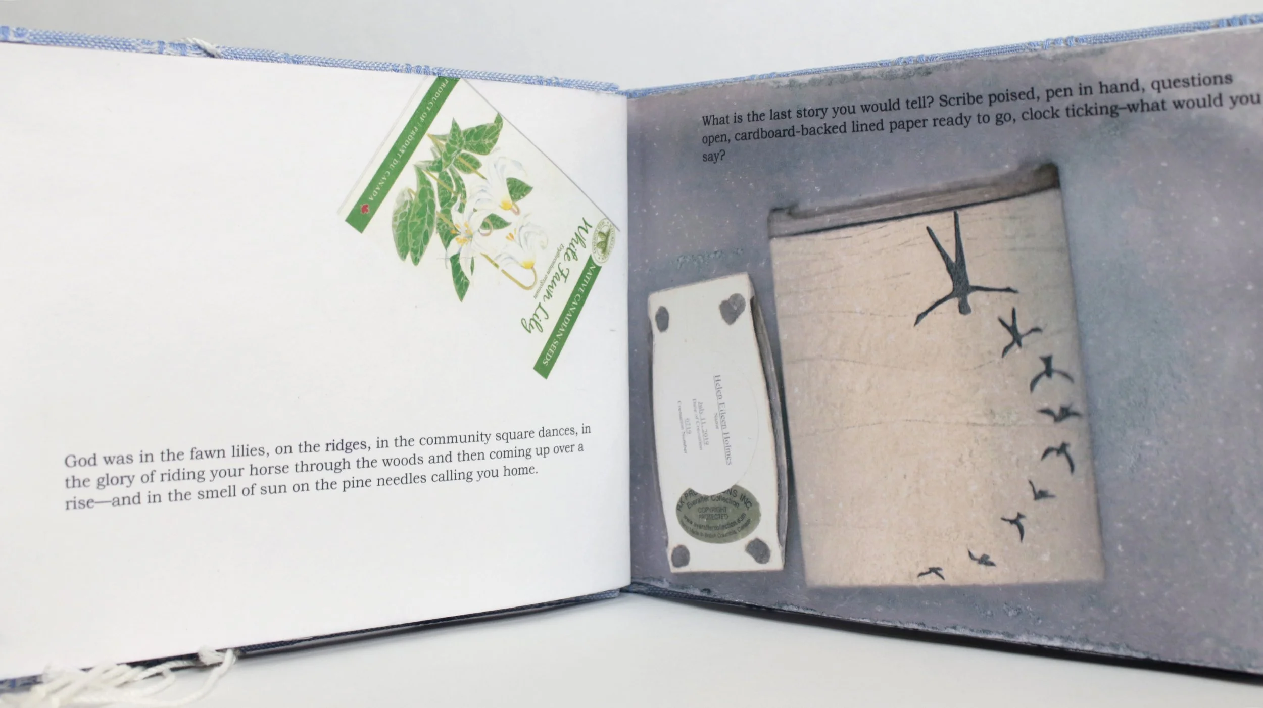 Open book with a poem, a small packet of seeds, and a cut-out of flying birds on the right page