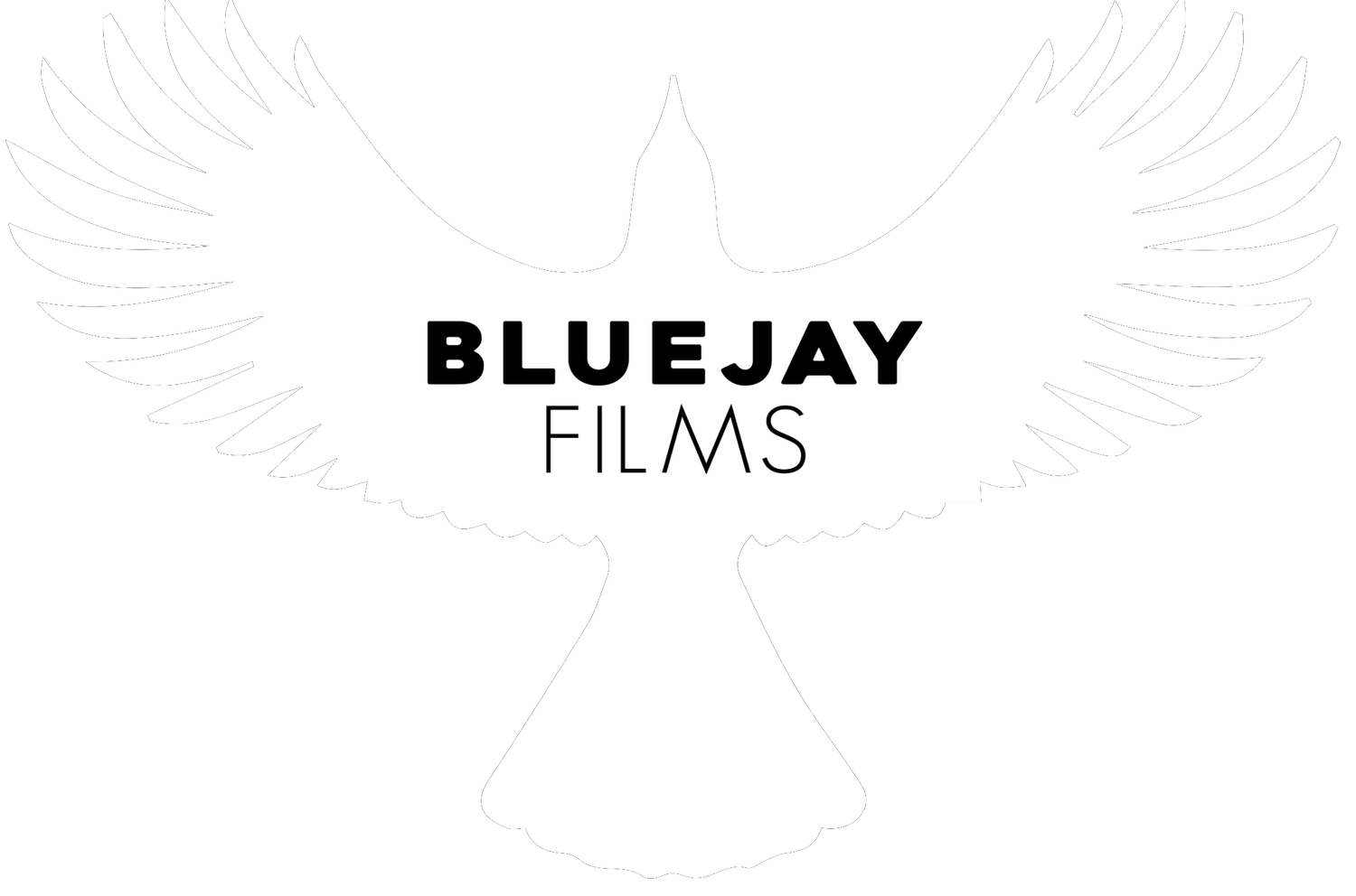 Your Site Title (Copy)