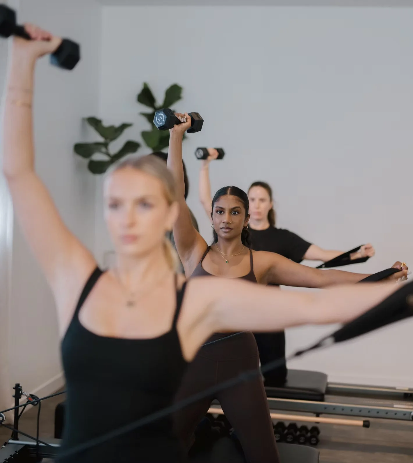 A group of women practicing resistance band exercises in a fitness studio, with some holding dumbbells, and a mute background with a potted plant.