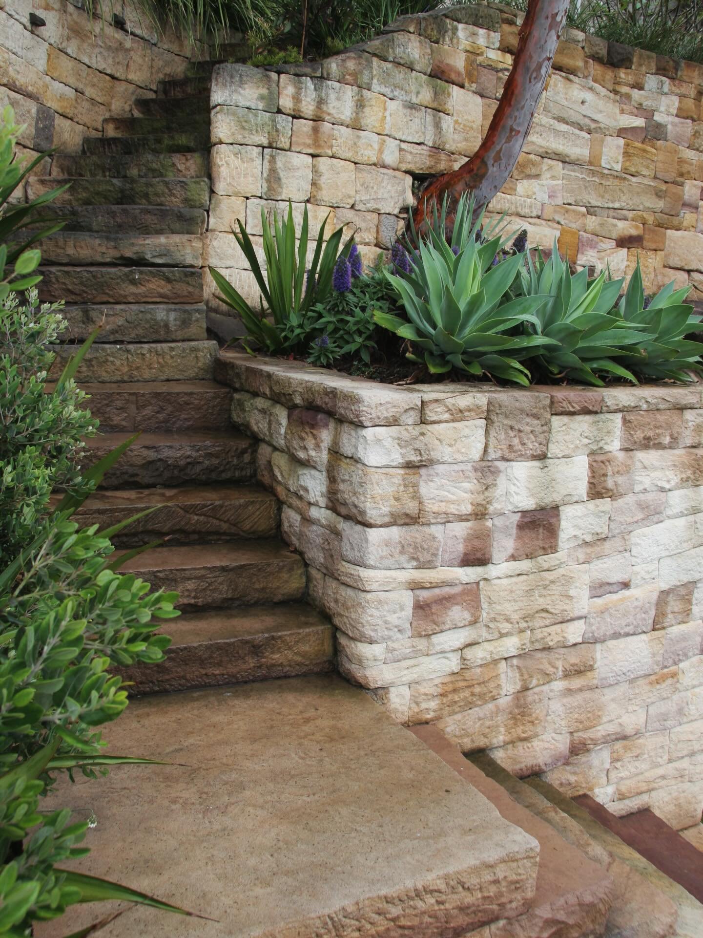 Where structure becomes scenery. 

Brooks Stone &amp; Co. 
Mosman, Sydney.

#sydneylandscaping #sandstone #stonework #luxurylandscape