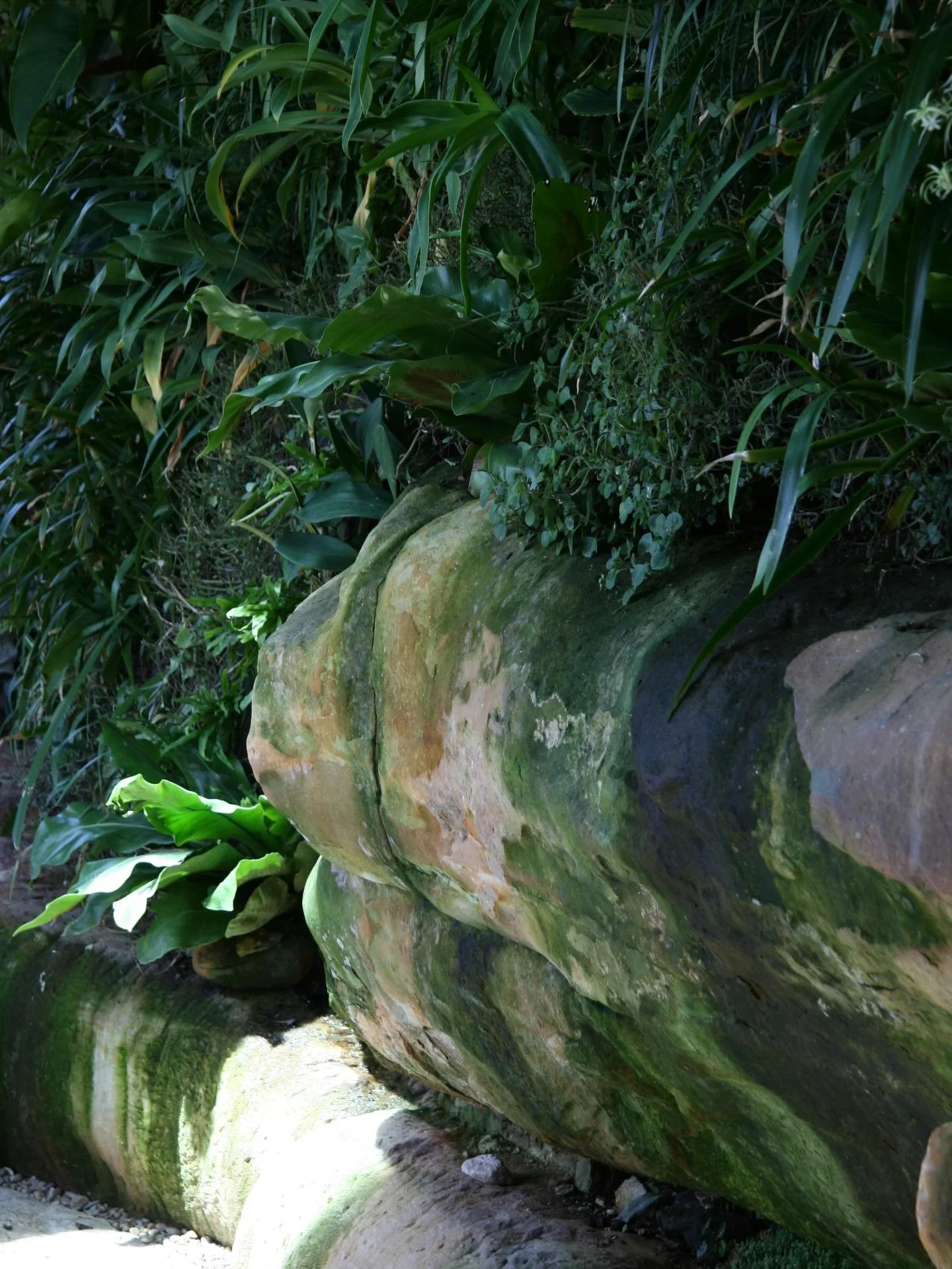 Living elements, built into the structure.

Brooks Stone &amp; Co. 
Mosman, Sydney. 

#greenwall #landscape #sydneylanscaping #luxurylandscaping
