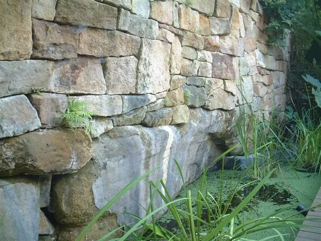 Natural stone feature wall rising behind reeds and pond