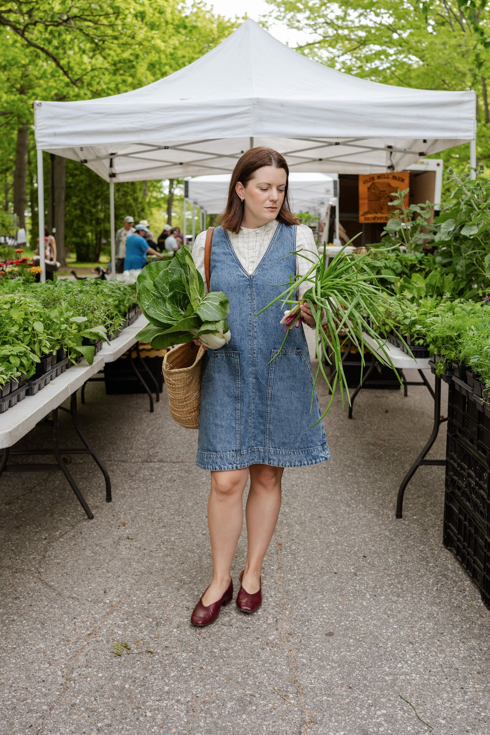 Featured Artist: Meredith Brockington