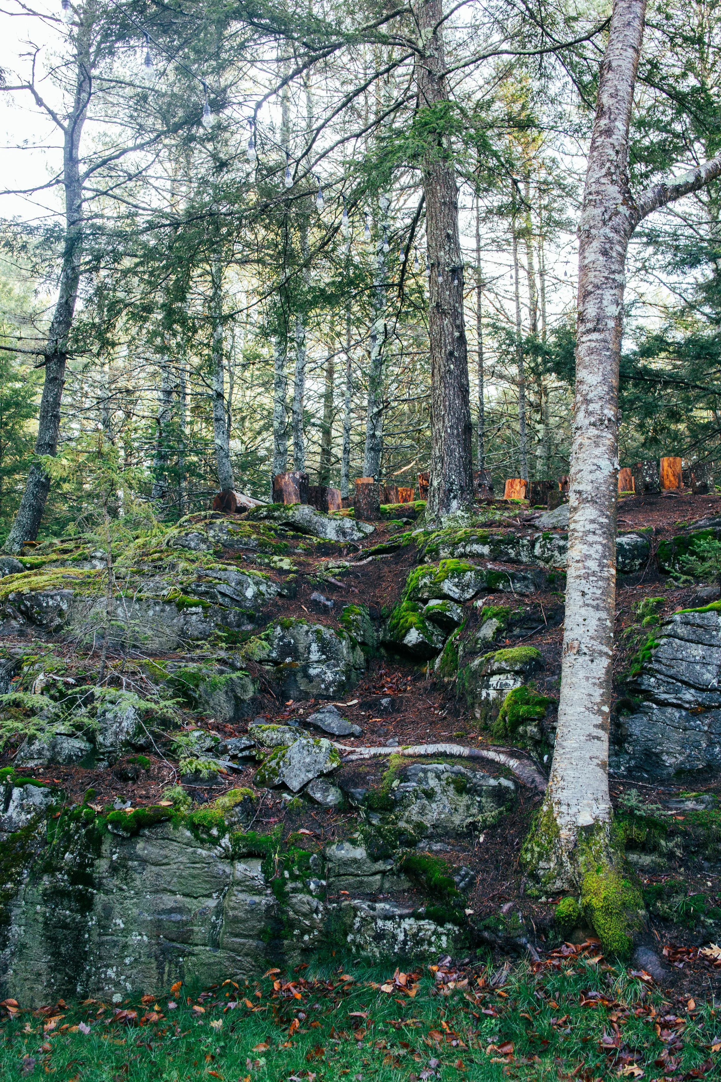 1222-CozyRockCabin-008.jpg
