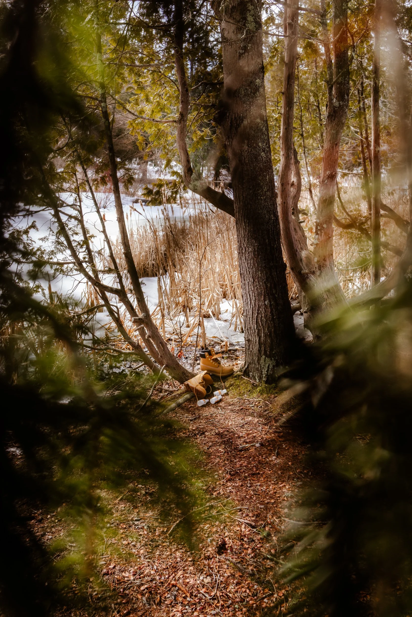 CocoMc-TimberlandSpring-24.jpg
