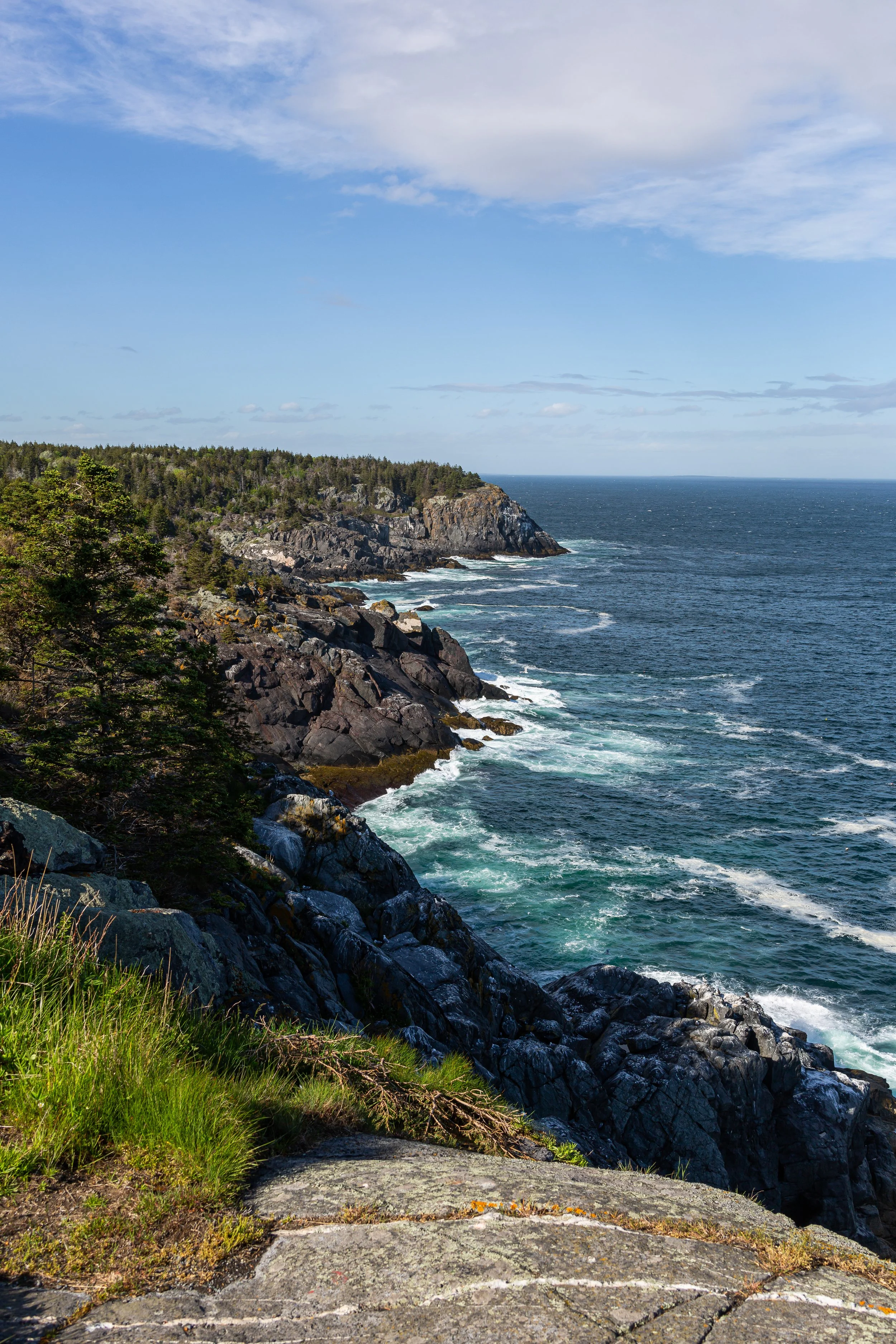 0521-Monhegan-MomoCoco-16.jpg