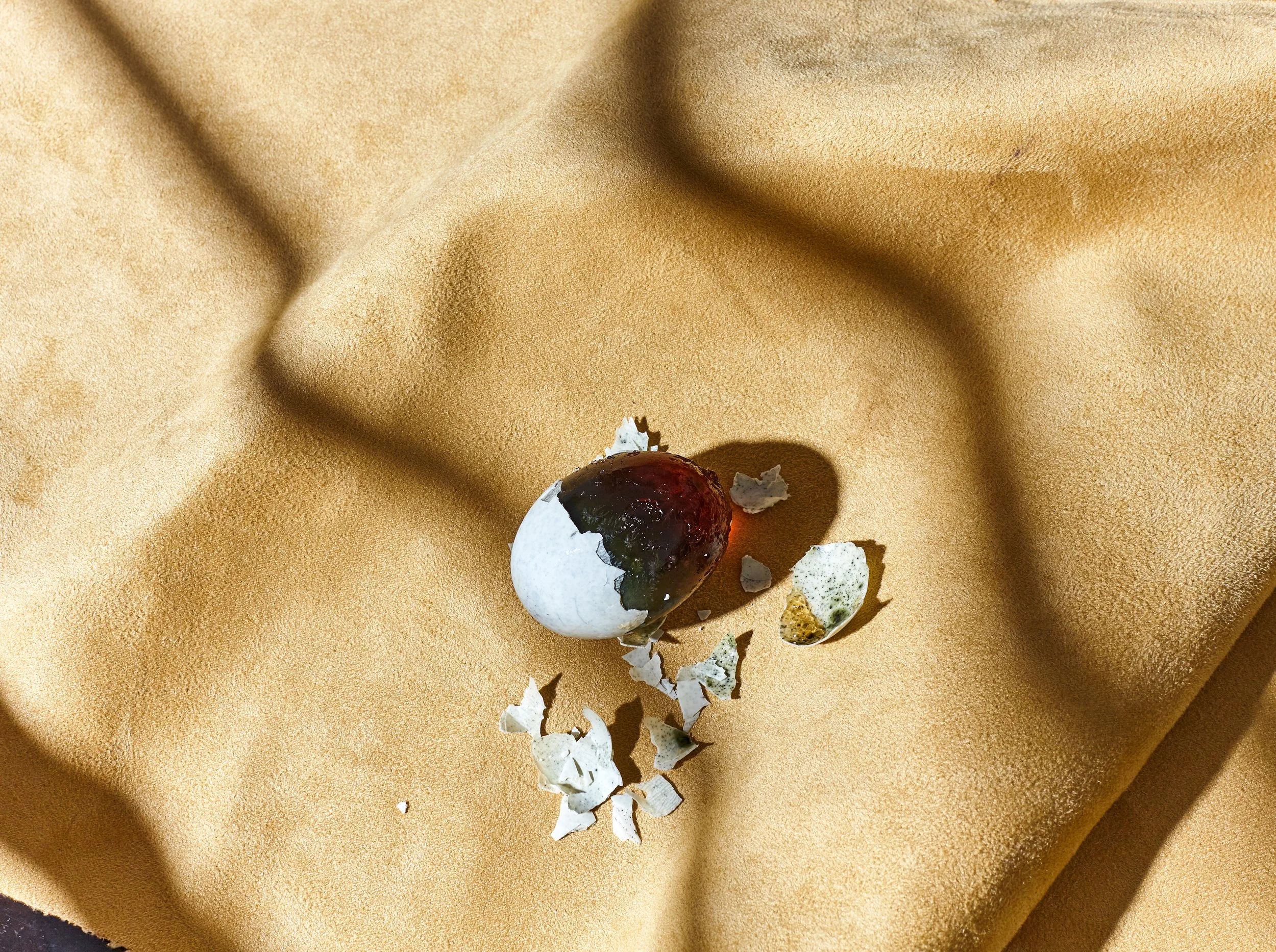 210208_Cookbook_Test1159.jpg