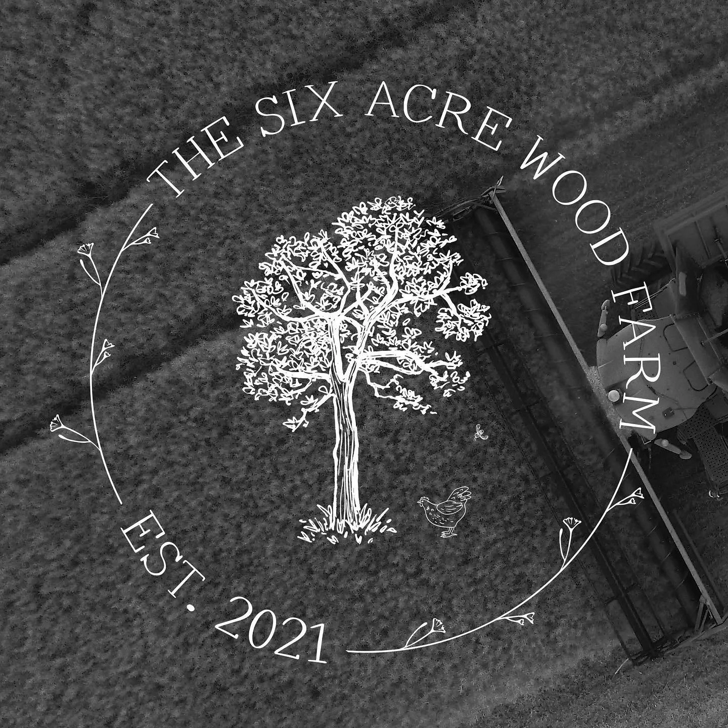 We loved working with Emily at The Six Acre Wood Farm to design their new logo.

This logo was designed in the artistic style they were looking for with nods to their origins and current offerings. So they were prepared for packaging and printing, we