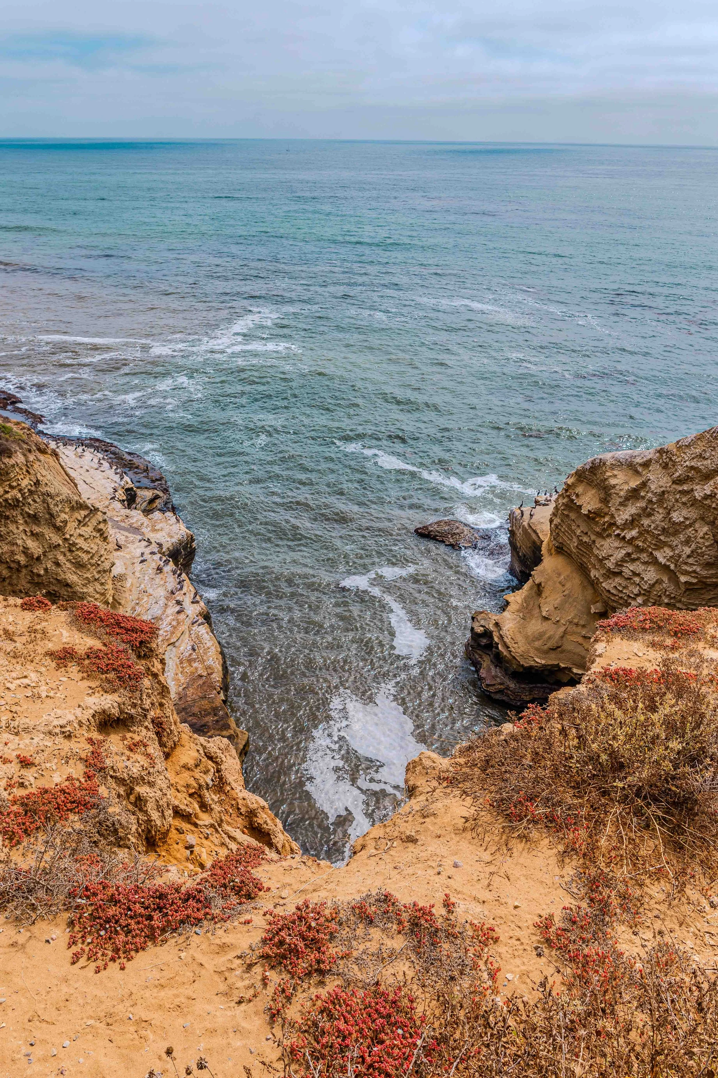 Low res san diego-27.jpg