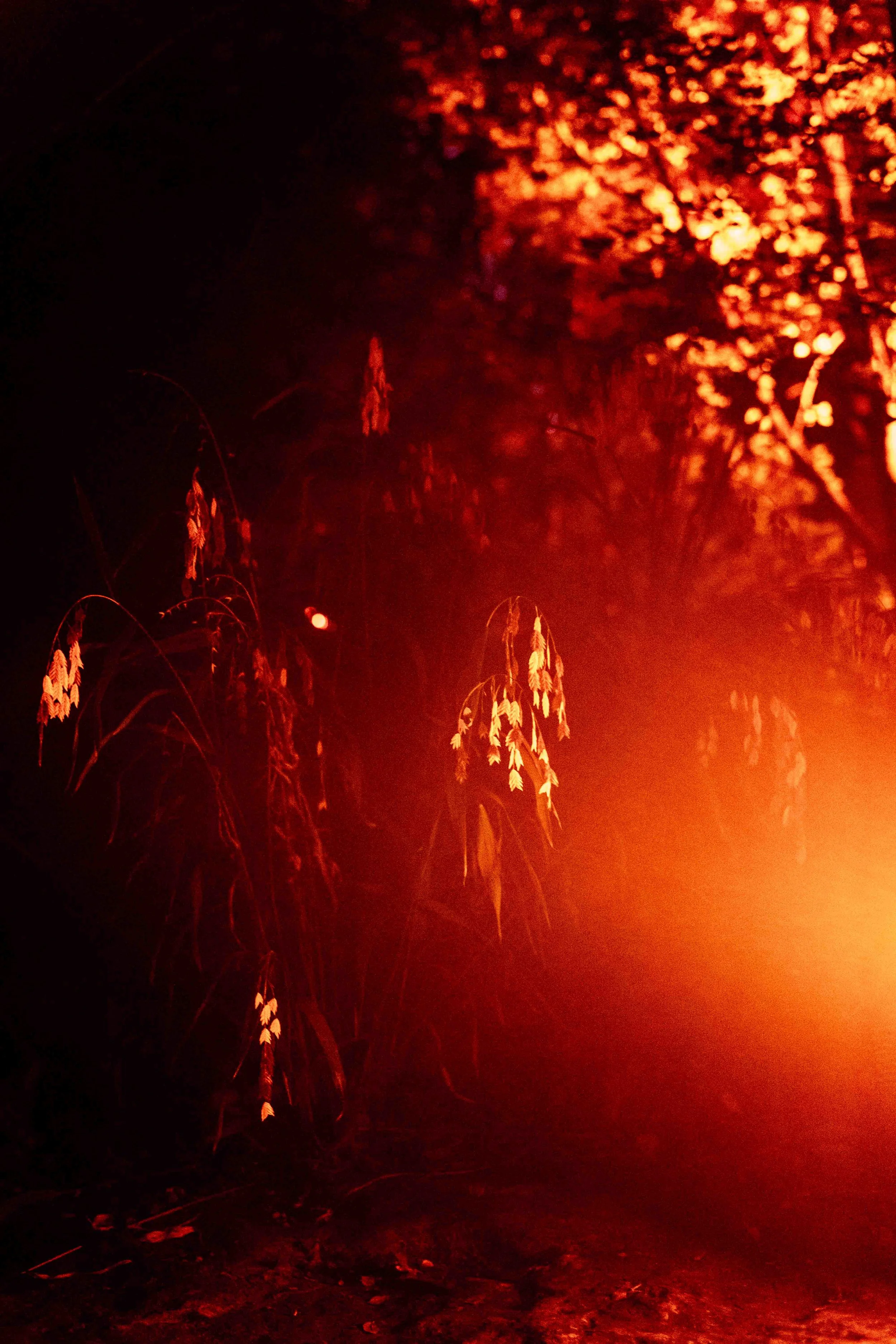 Low res happy frights 2024-29.jpg