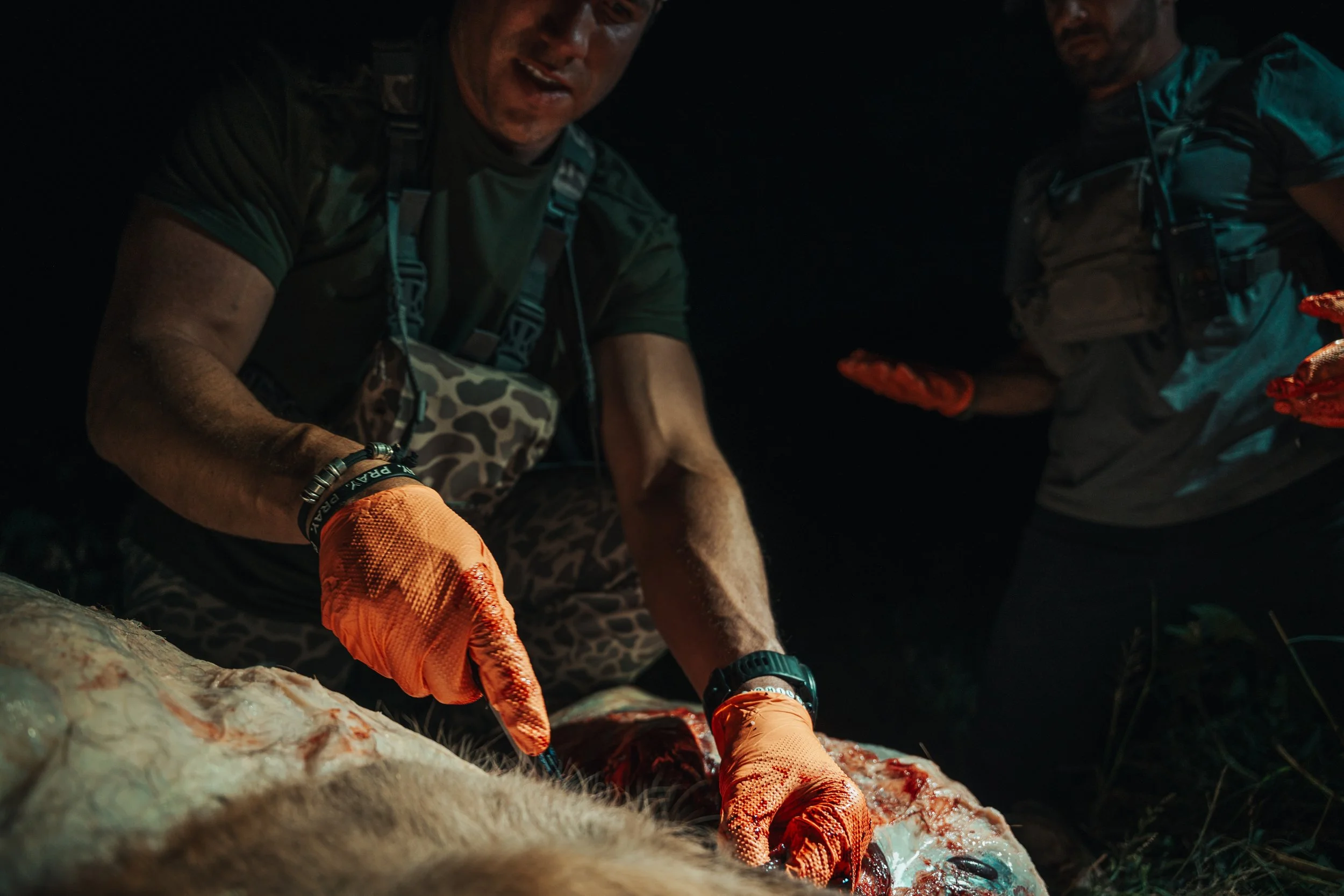 elk-65 - BR WEB.jpg