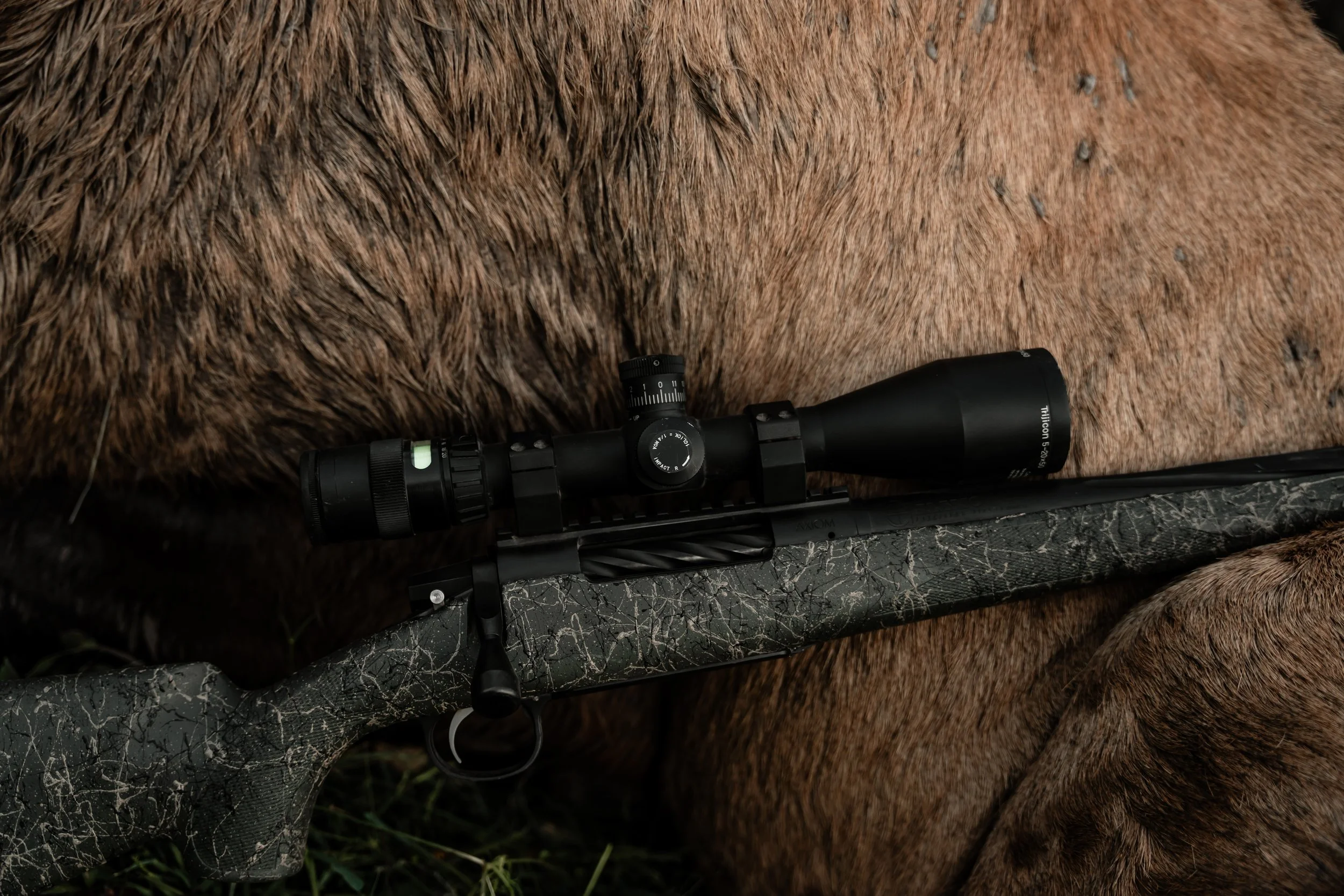 elk-60 - BR WEB.jpg