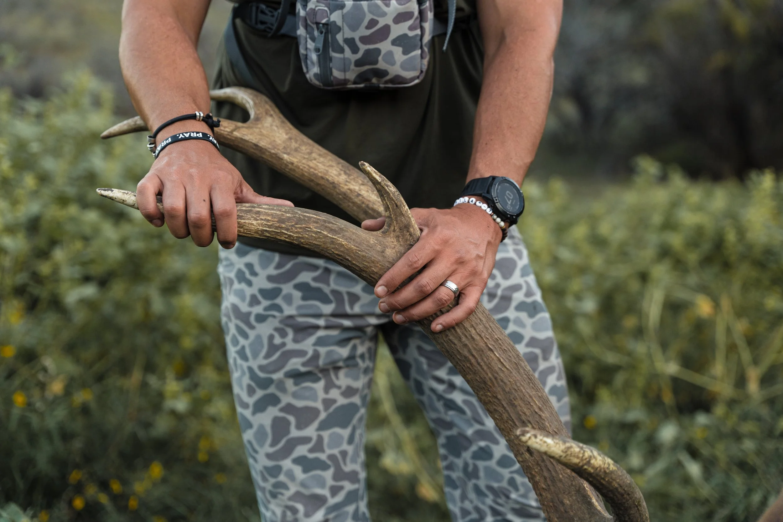 elk-59 - BR WEB.jpg