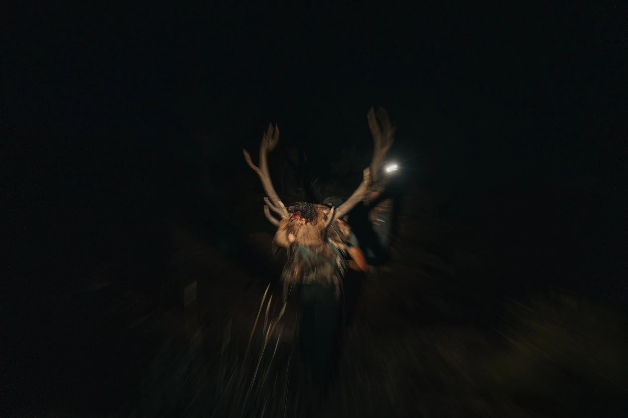 elk-68 - BR WEB.jpg