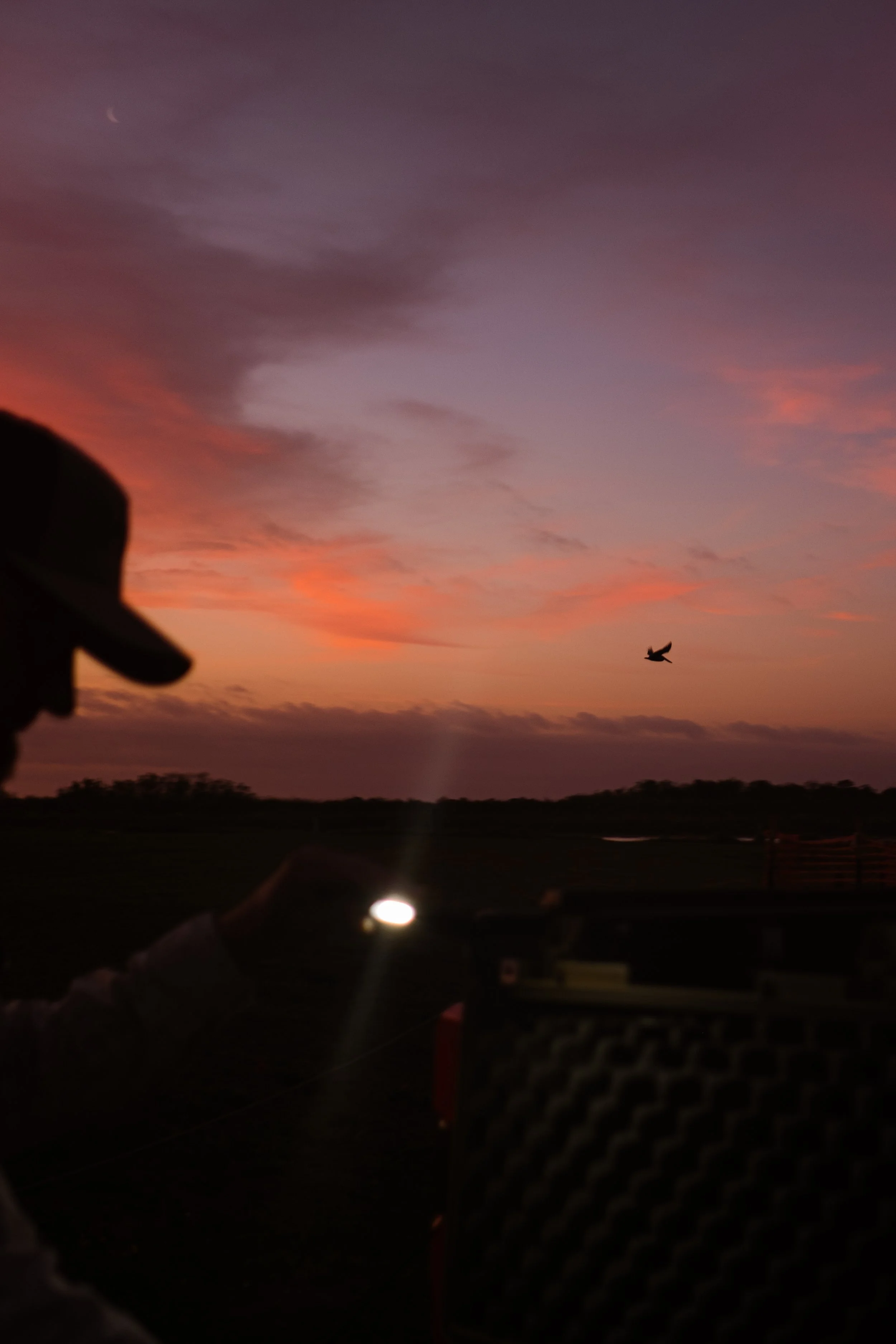 BR - Pelican - ModLight - 8.jpg