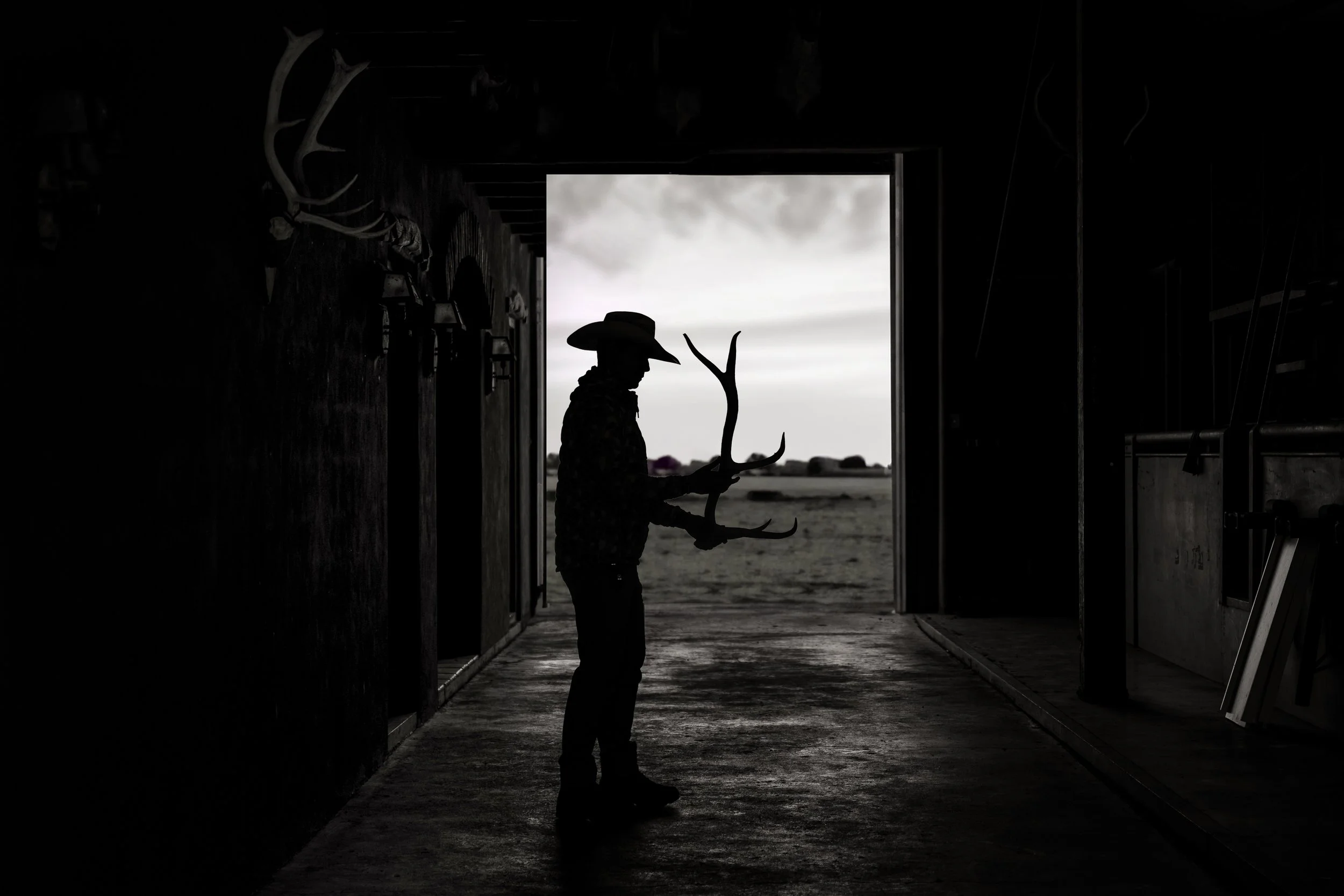 ranch horns-2.jpg