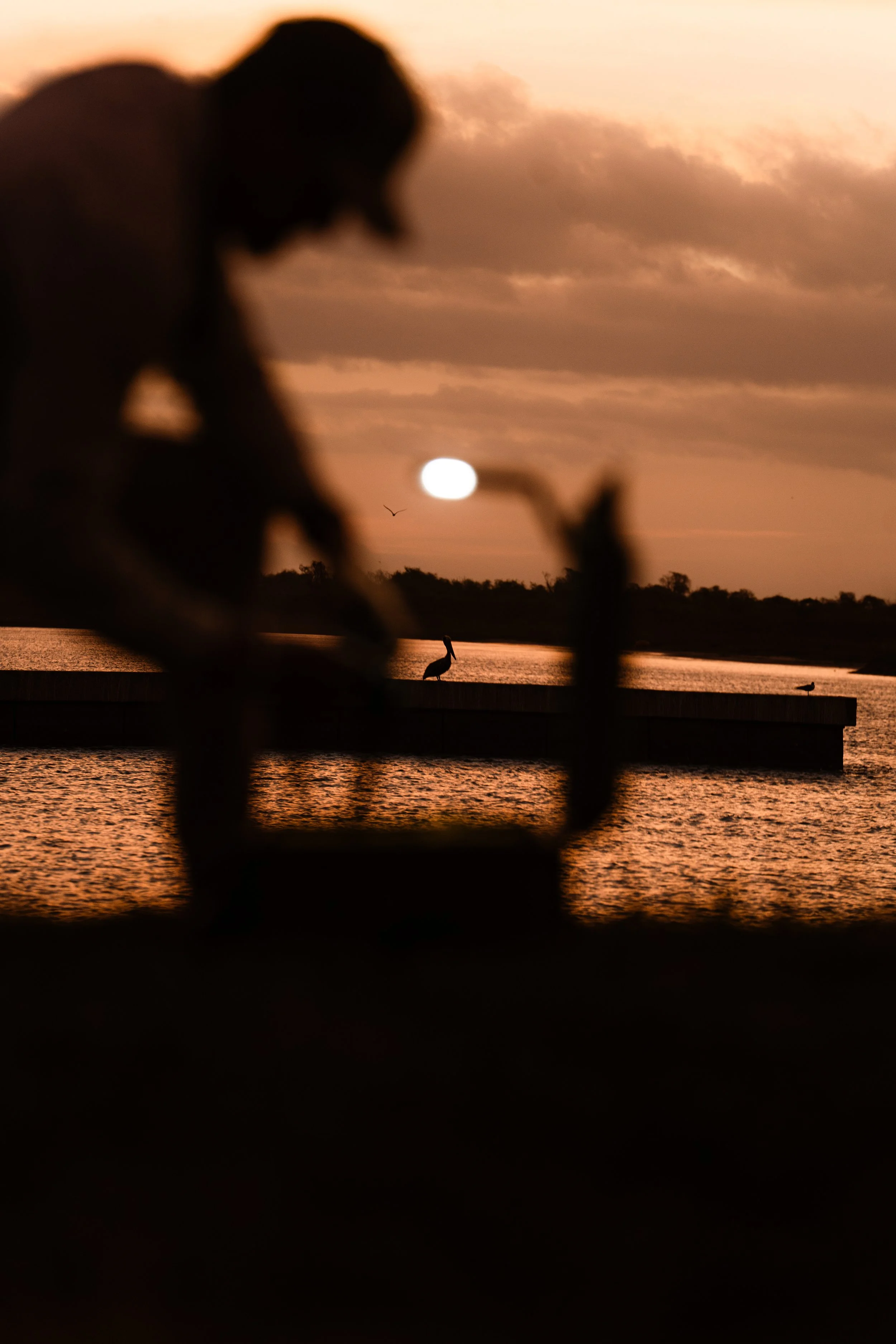 BR - Pelican - ModLight - 10.jpg