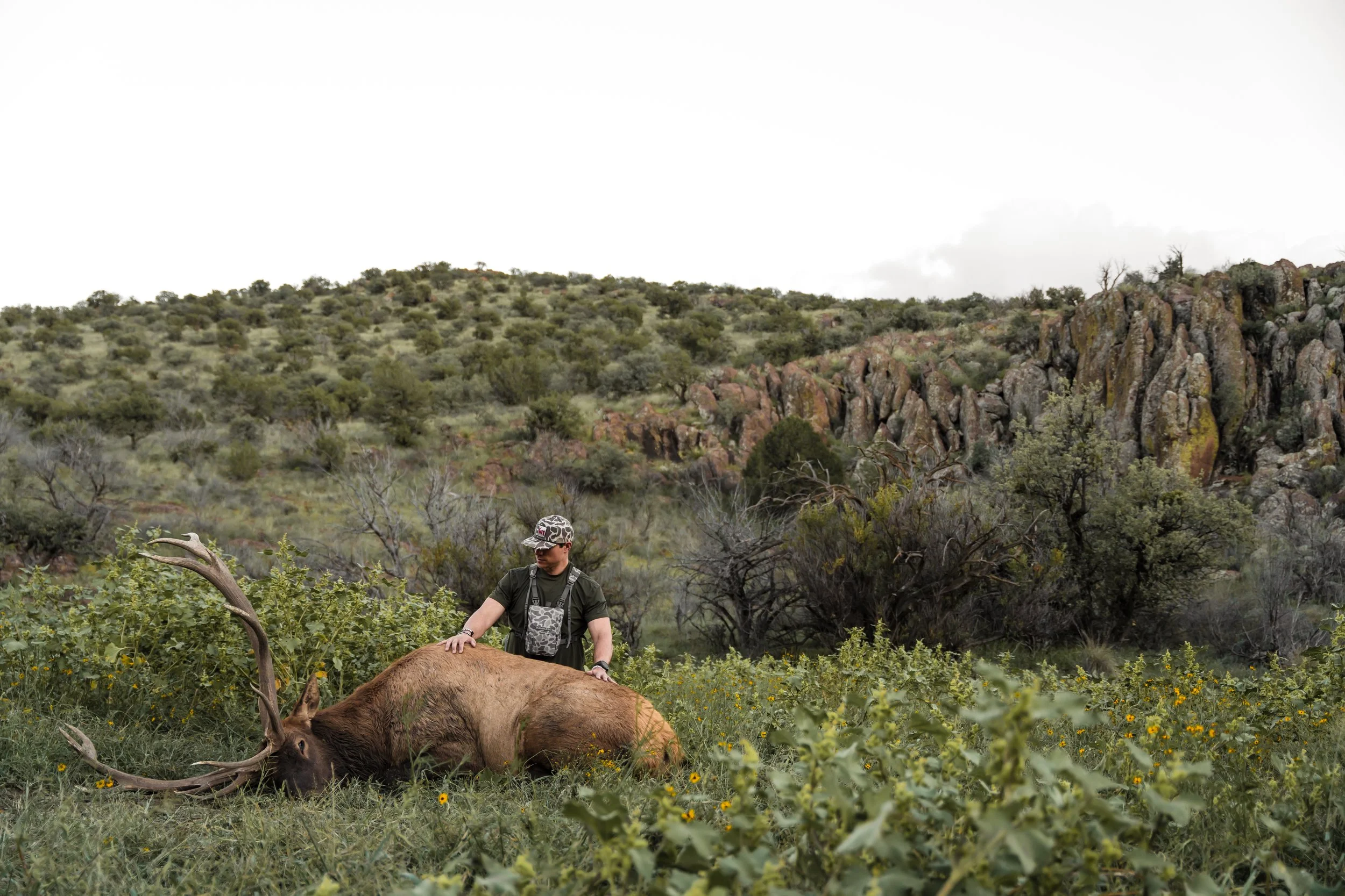 elk-61 - BR WEB.jpg