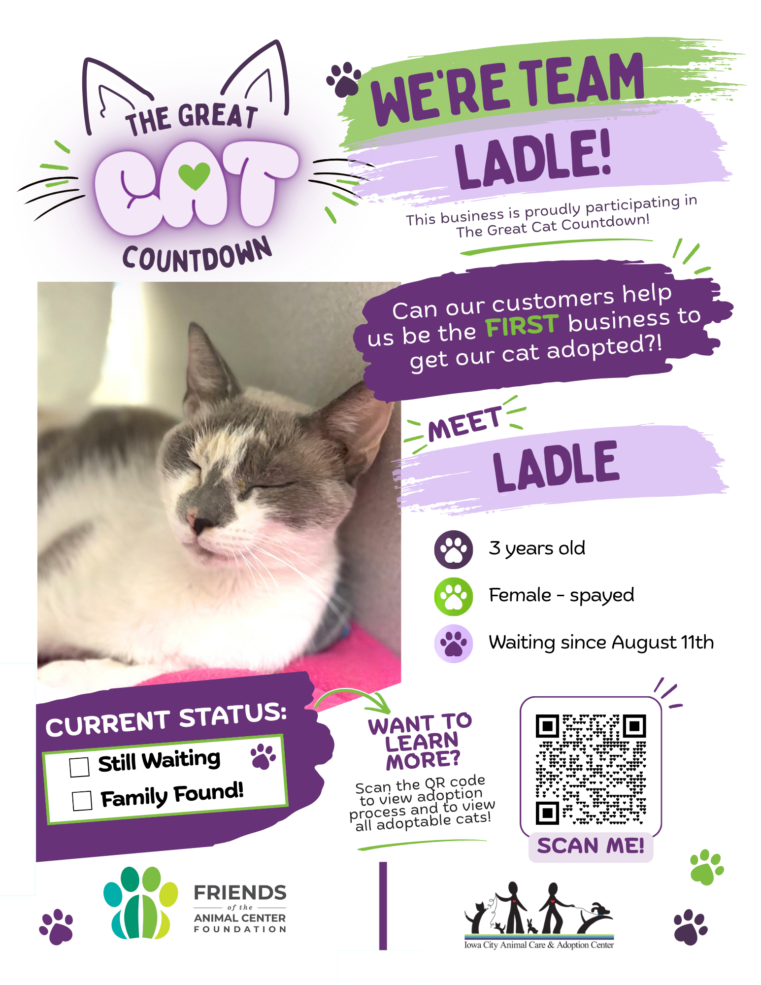 The Great Cat Countdown