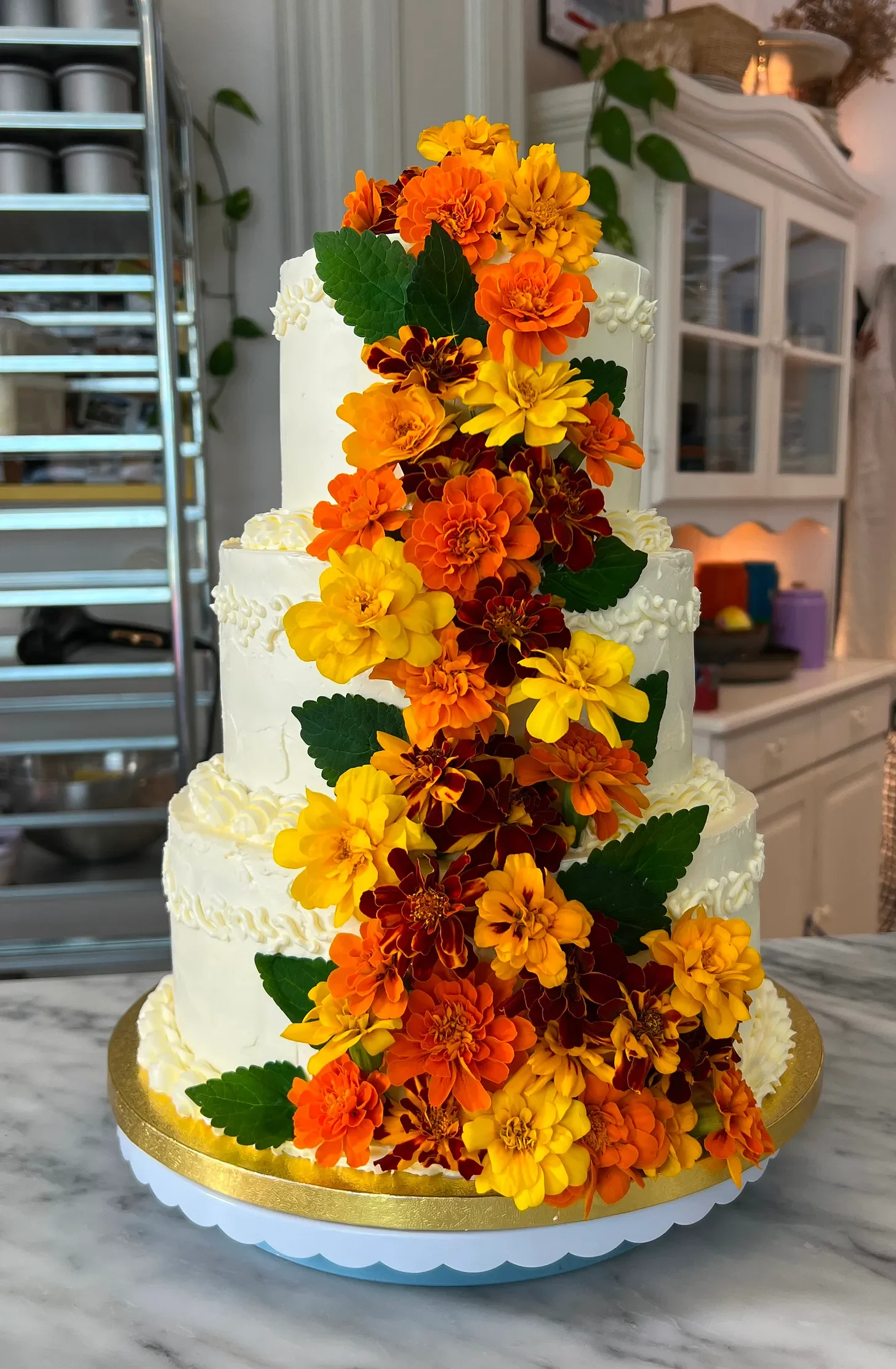 Chocolate Hazelnut Cake