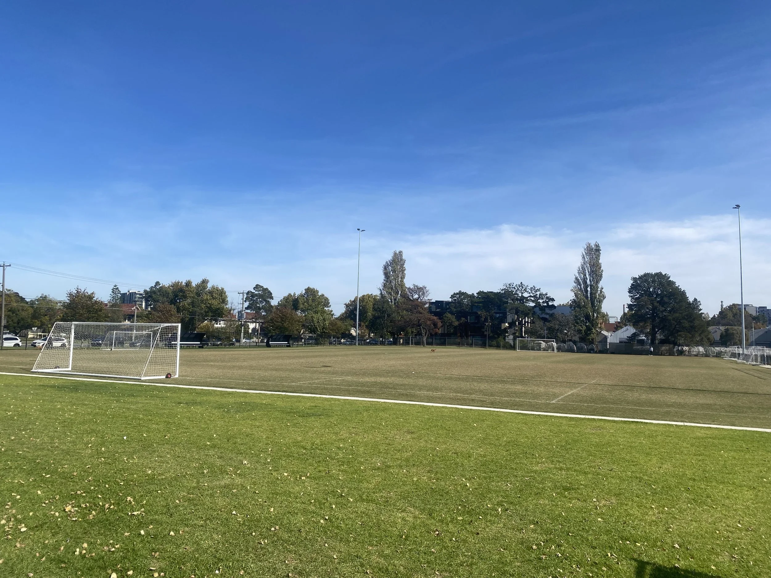 Grass soccer pitch with lots of goals at JL Murphy Reserve in Melbourne