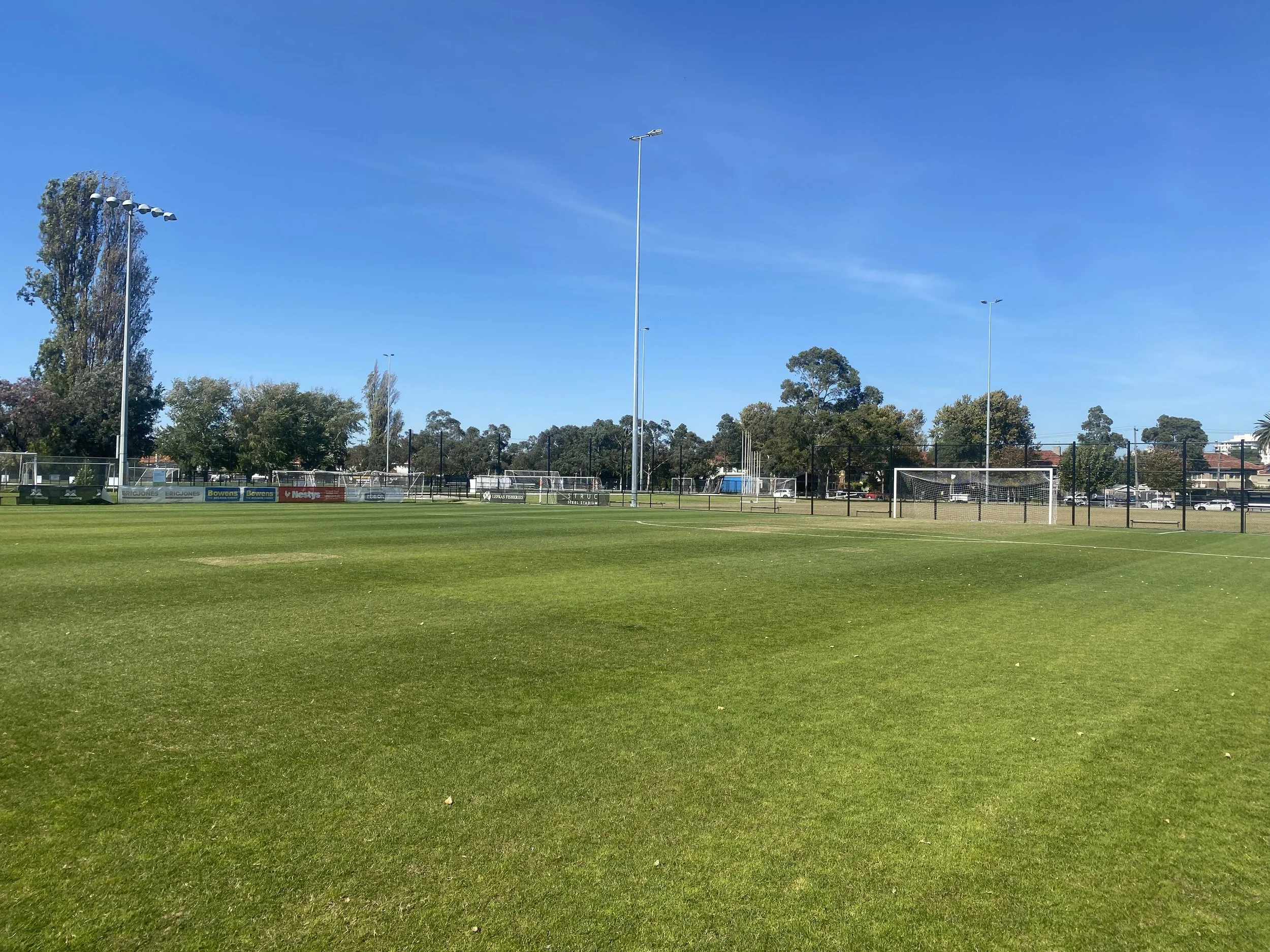 Grass soccer field with goals at JL Murphy Reserve in Melbourne