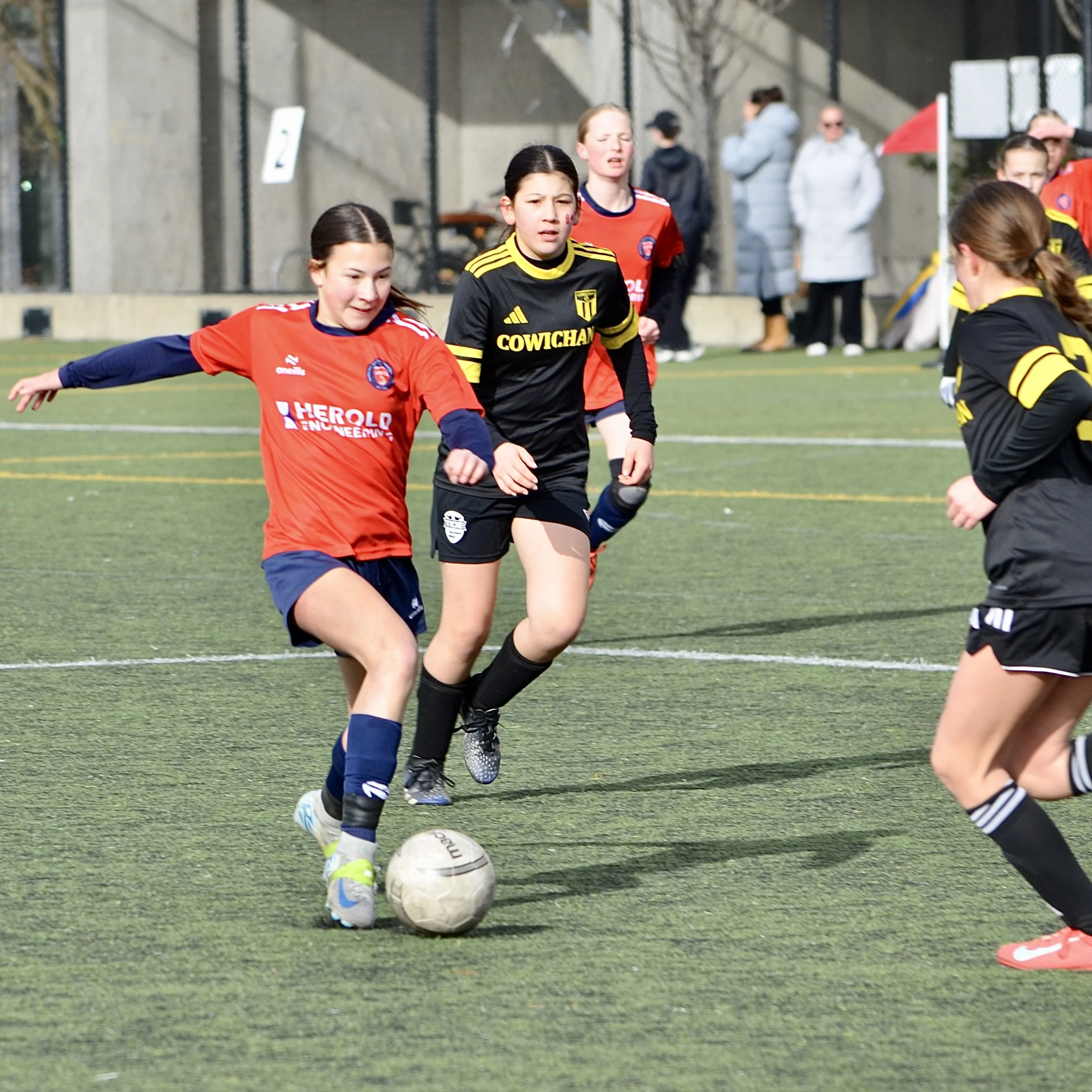 Young female soccer players running toward the ball on an outdoor field, with spectators watching in the background.