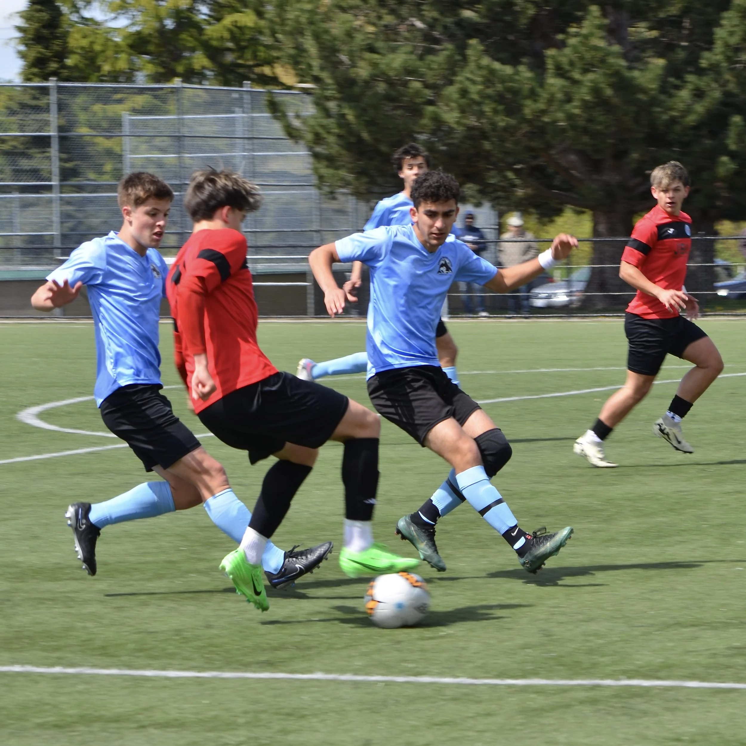 Young male soccer players wearing blue and red jerseys running on a soccer field chasing after a ball during a game.