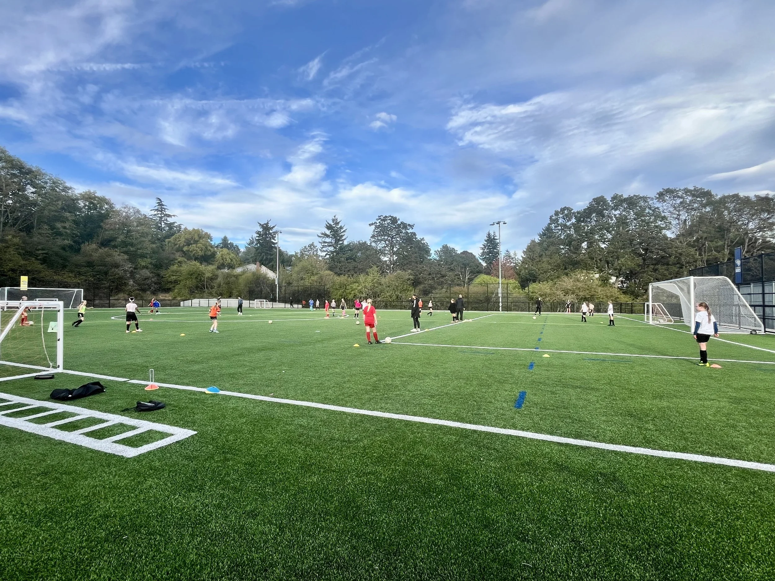A group of people playing soccer on a green artificial turf field under a partly cloudy sky, surrounded by trees and sports equipment.