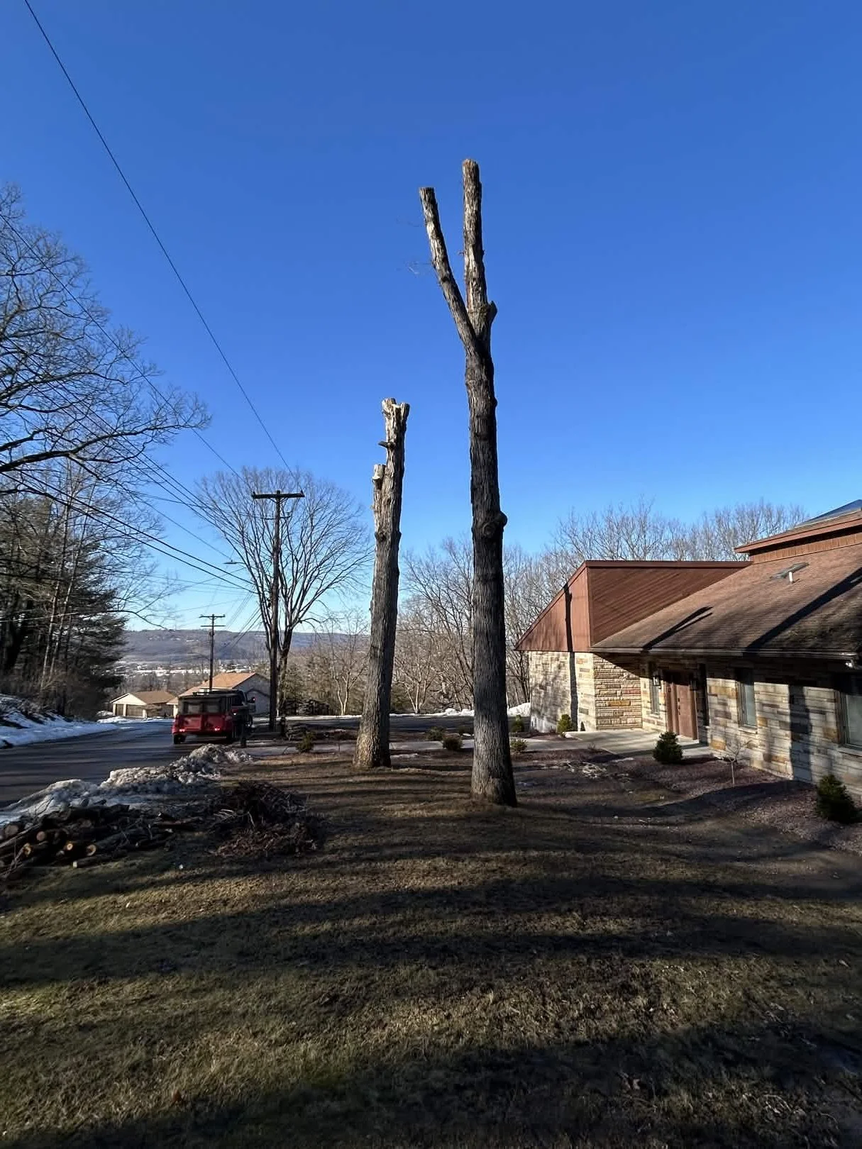 Three tall, trimmed trees with no branches stand on a grassy area next to a building with a brown roof and stone walls. The sky is clear and blue, with some snow on the ground and a road with a red vehicle parked nearby.