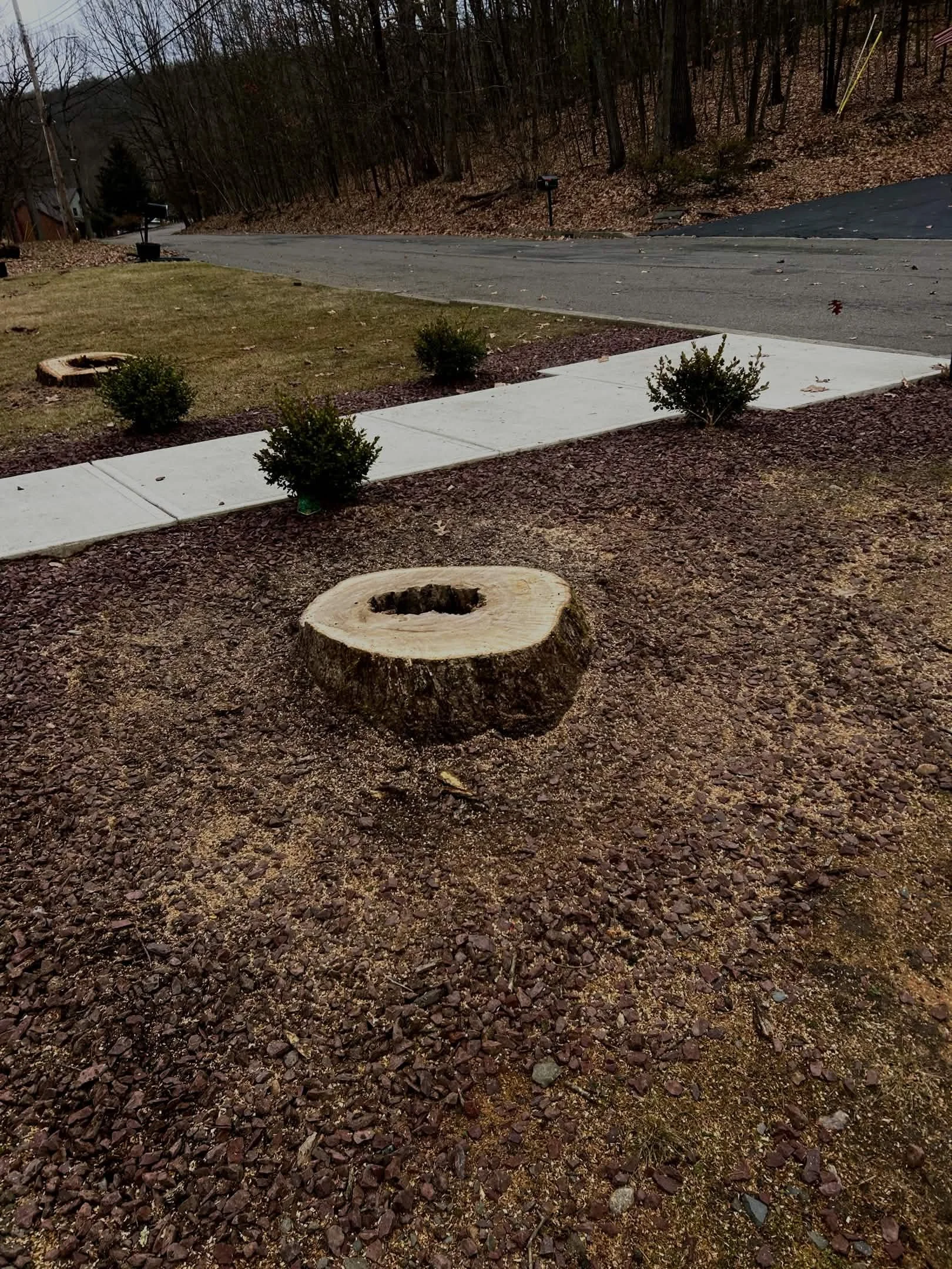 A sidewalk in a residential area with small bushes, a tree stump, and a street with a mailbox in the background.