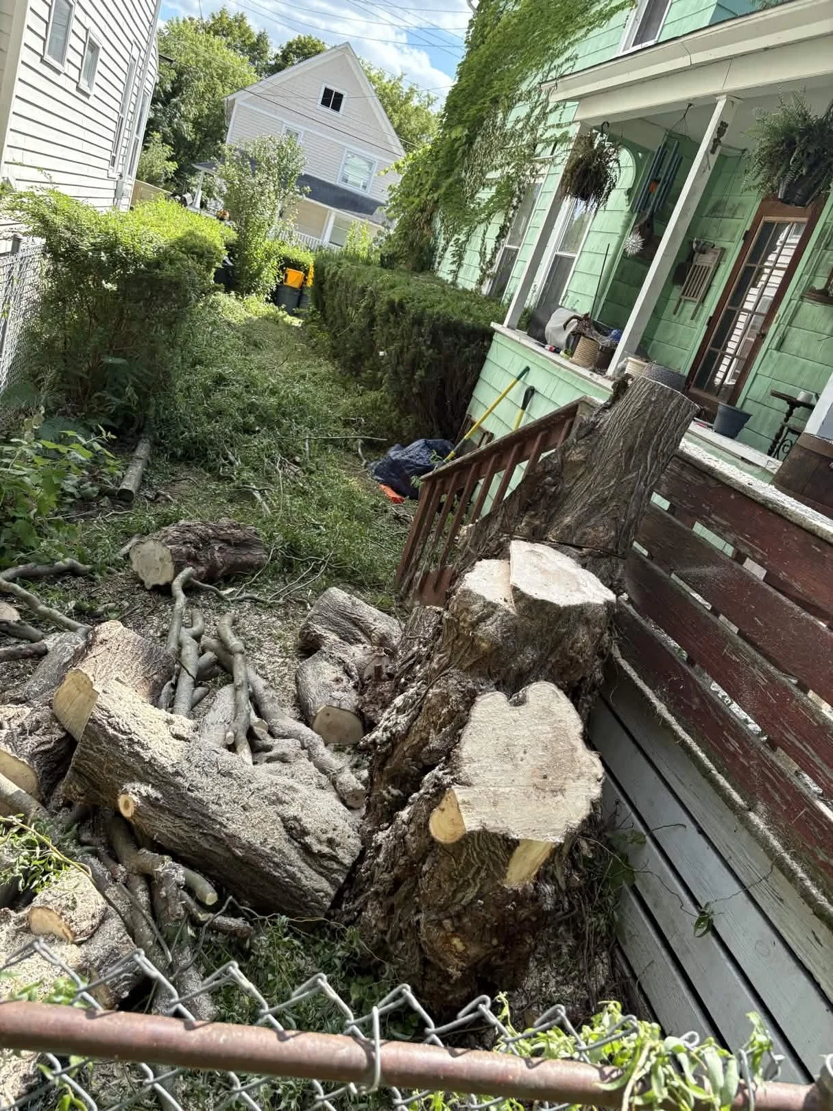 A backyard scene with cut tree logs and branches piled on the ground beside a green house with a porch. The yard is enclosed by a chain-link fence, and another house is visible in the background, along with trees and a partly cloudy sky.