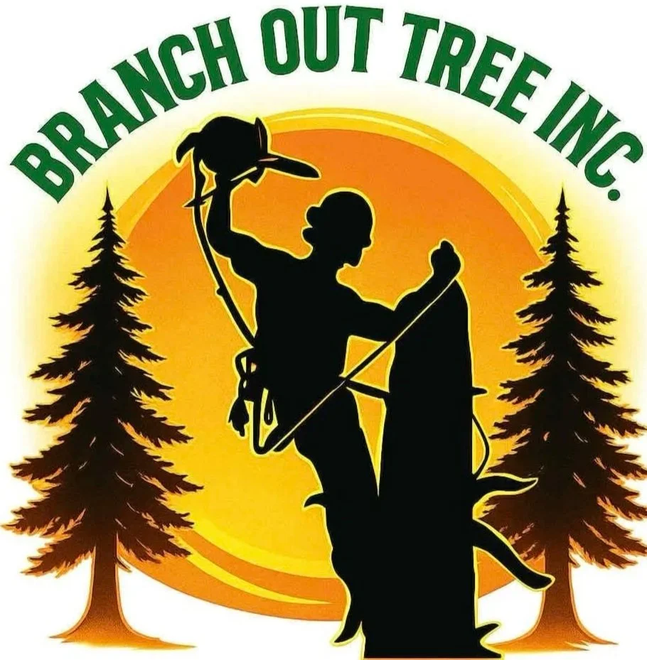 BranchOutTree Inc
