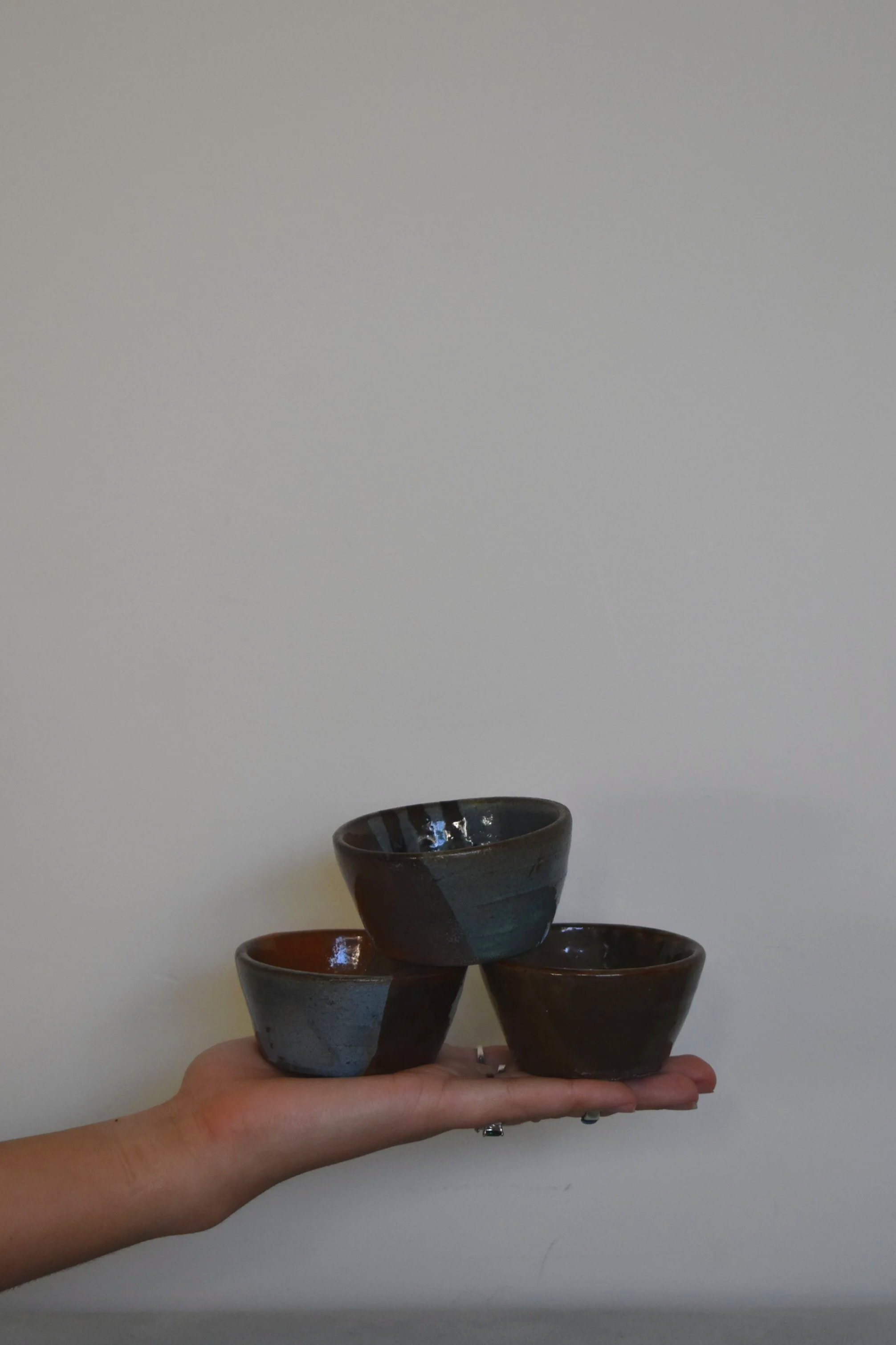 DSC_0101.png