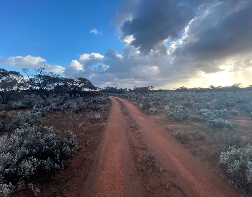Dirt road running through a semi-arid landscape with low bushes and scattered trees, under a partly cloudy sky with sunlight breaking through clouds.