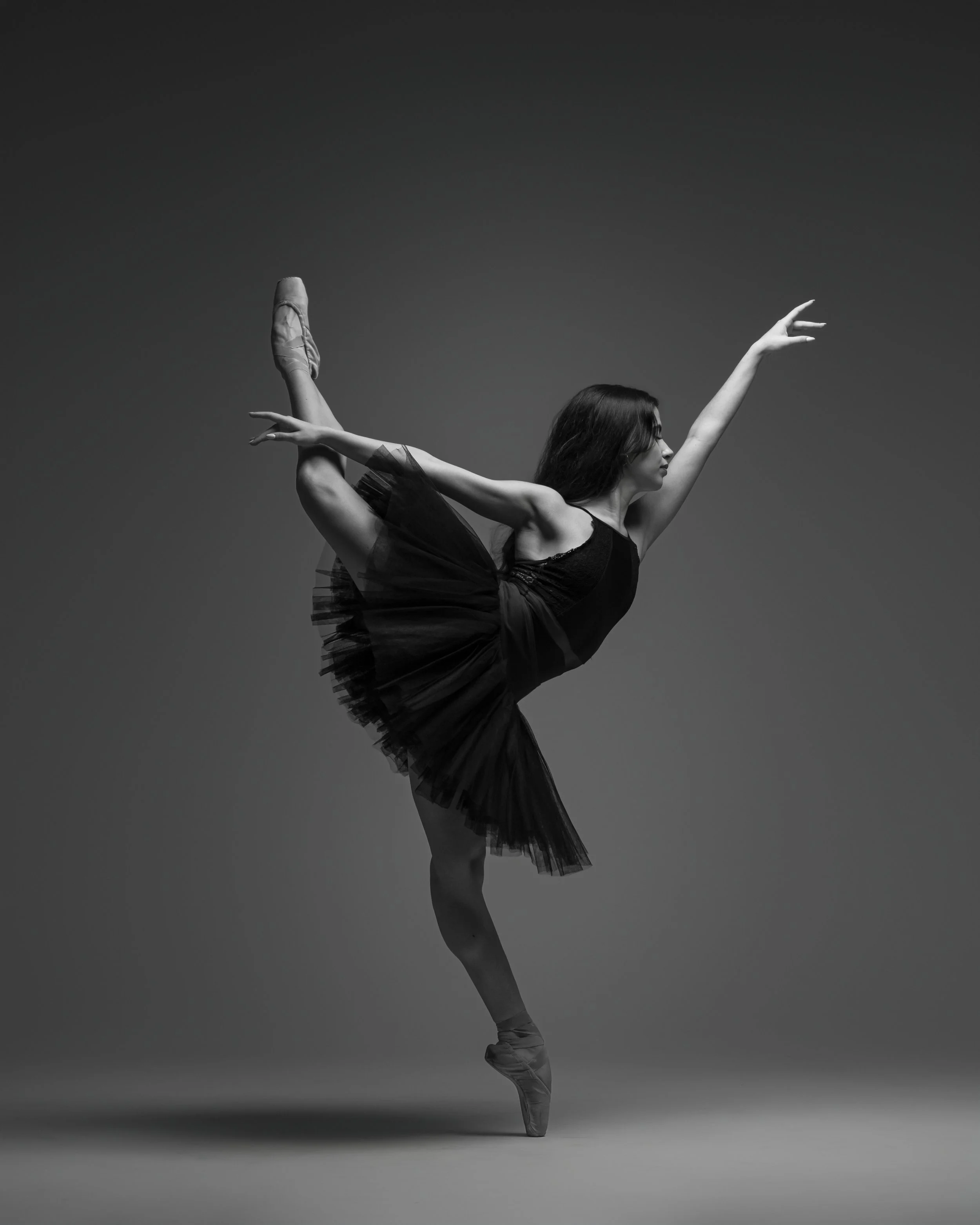 Evoto-(4 of 6).jpg