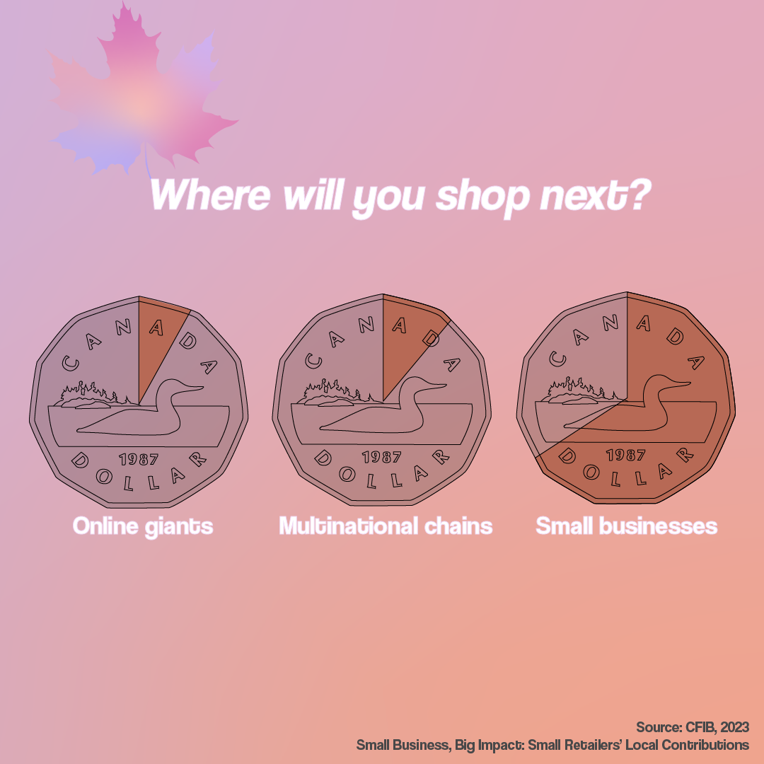 Three Canadian dollar coins with different sections highlighted: one for online giants, one for multinational chains, and one for small businesses. The background is pink with a Canada maple leaf, and the text asks, 'Where will you shop next?'